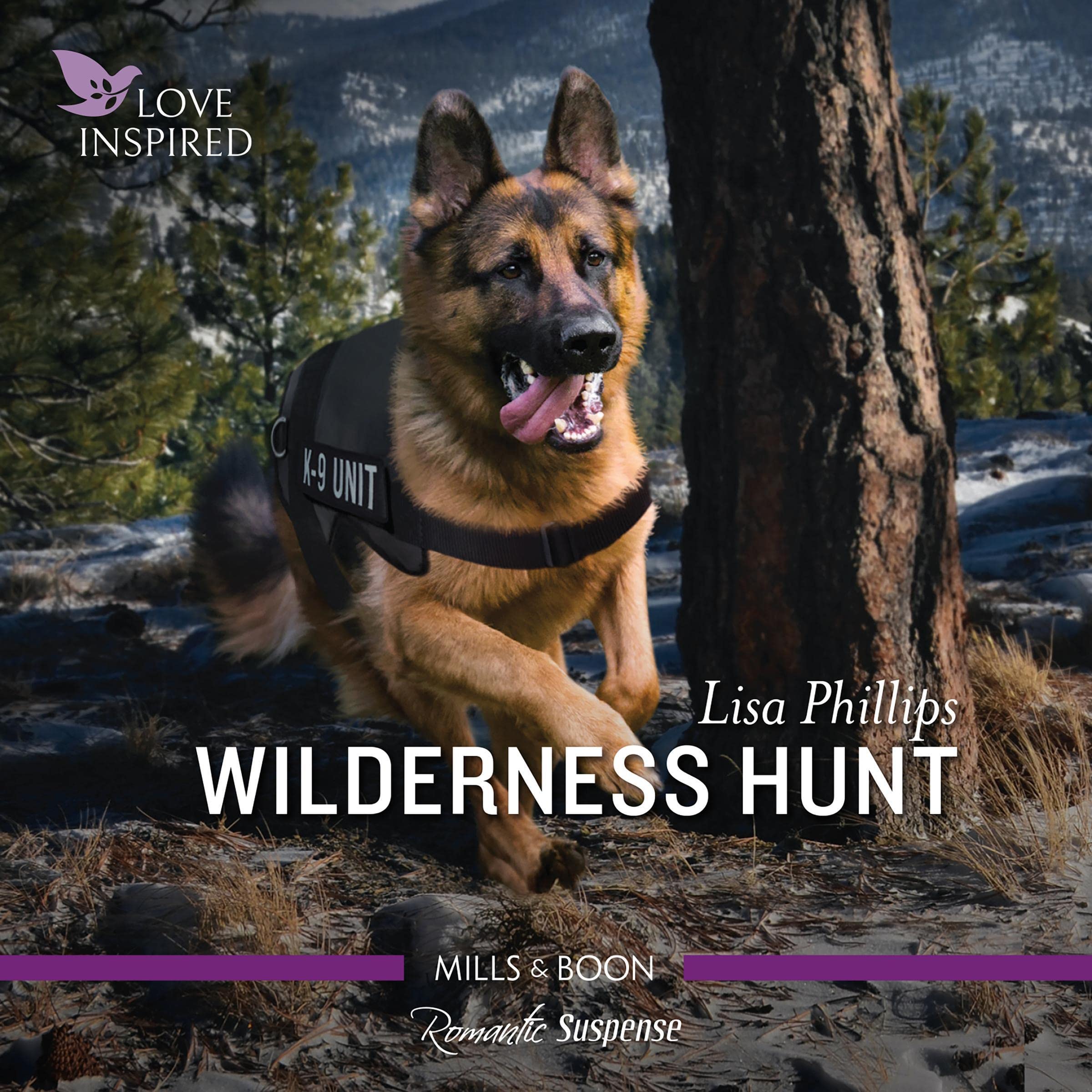 Cover art for Wilderness Hunt