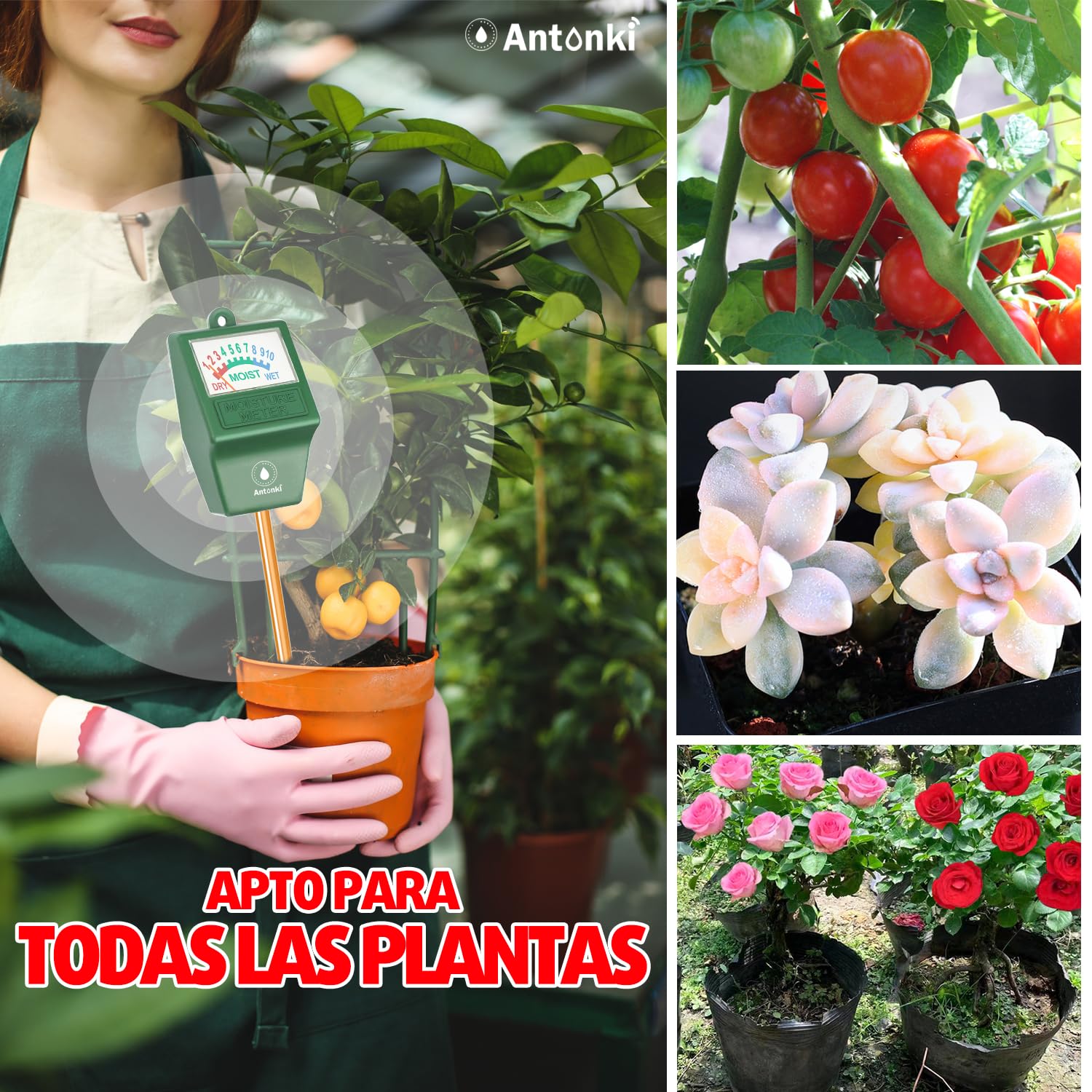 Antonki 2 Piezas Medidor Humedad Plantas, Higrometro Plantas de Suelo, Monitor de Riego de Flores para Plantas de Interior y Exterior, No se Necesitan Baterías