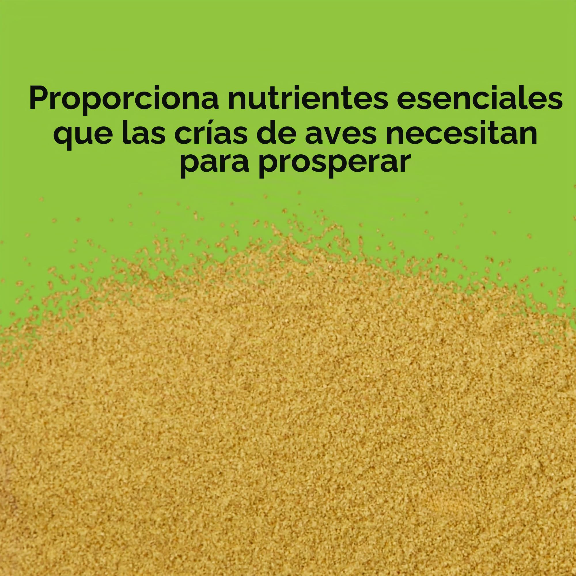 Kaytee Alimentación Manual exacta para pájaros bebés, 18 onzas