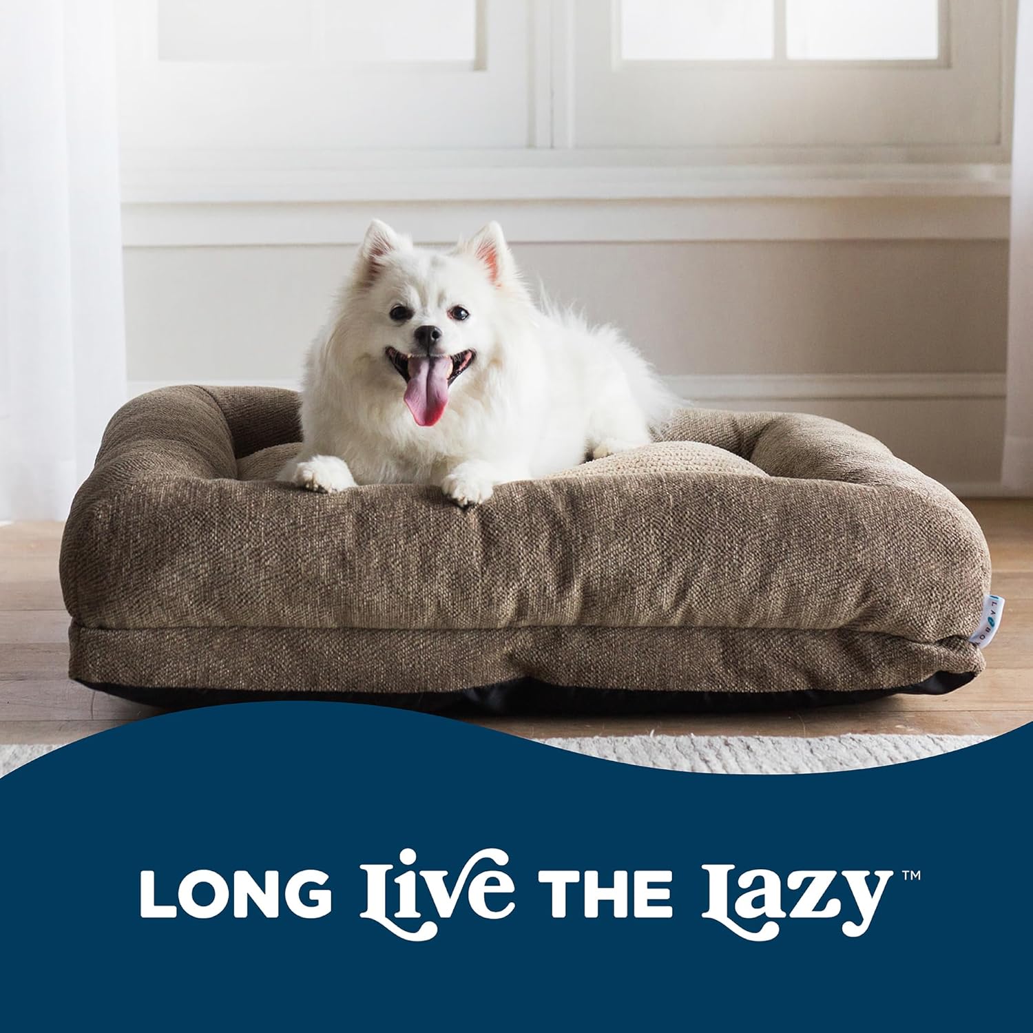 Rest Easy: La-Z-Boy Petmate Rosie Lounger Dog Bed Review