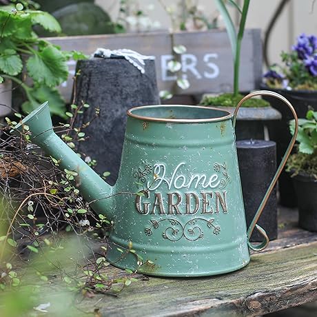 Small Vintage Decorative Watering Can for Indoor Outdoor Plants