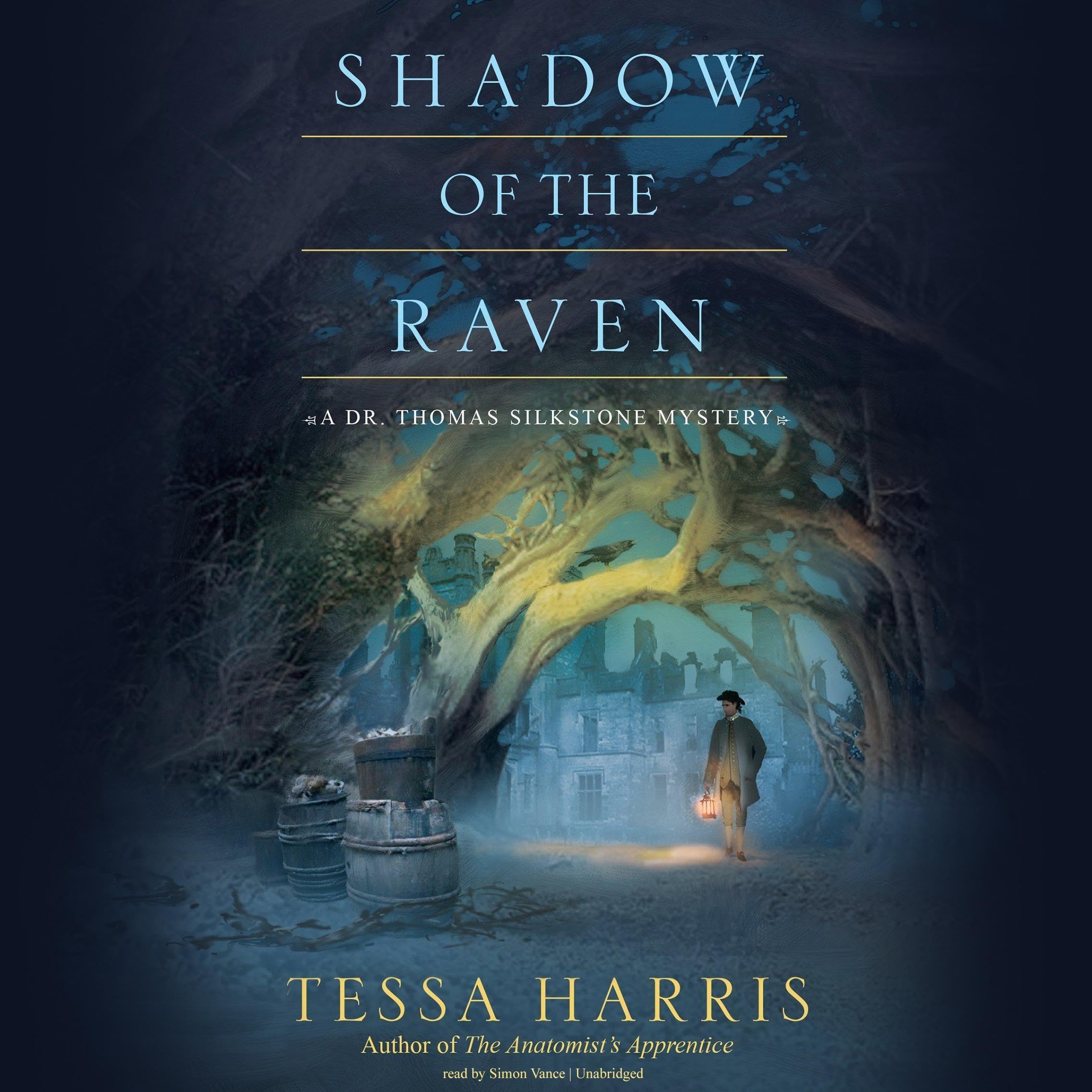 Cover art for Shadow of the Raven