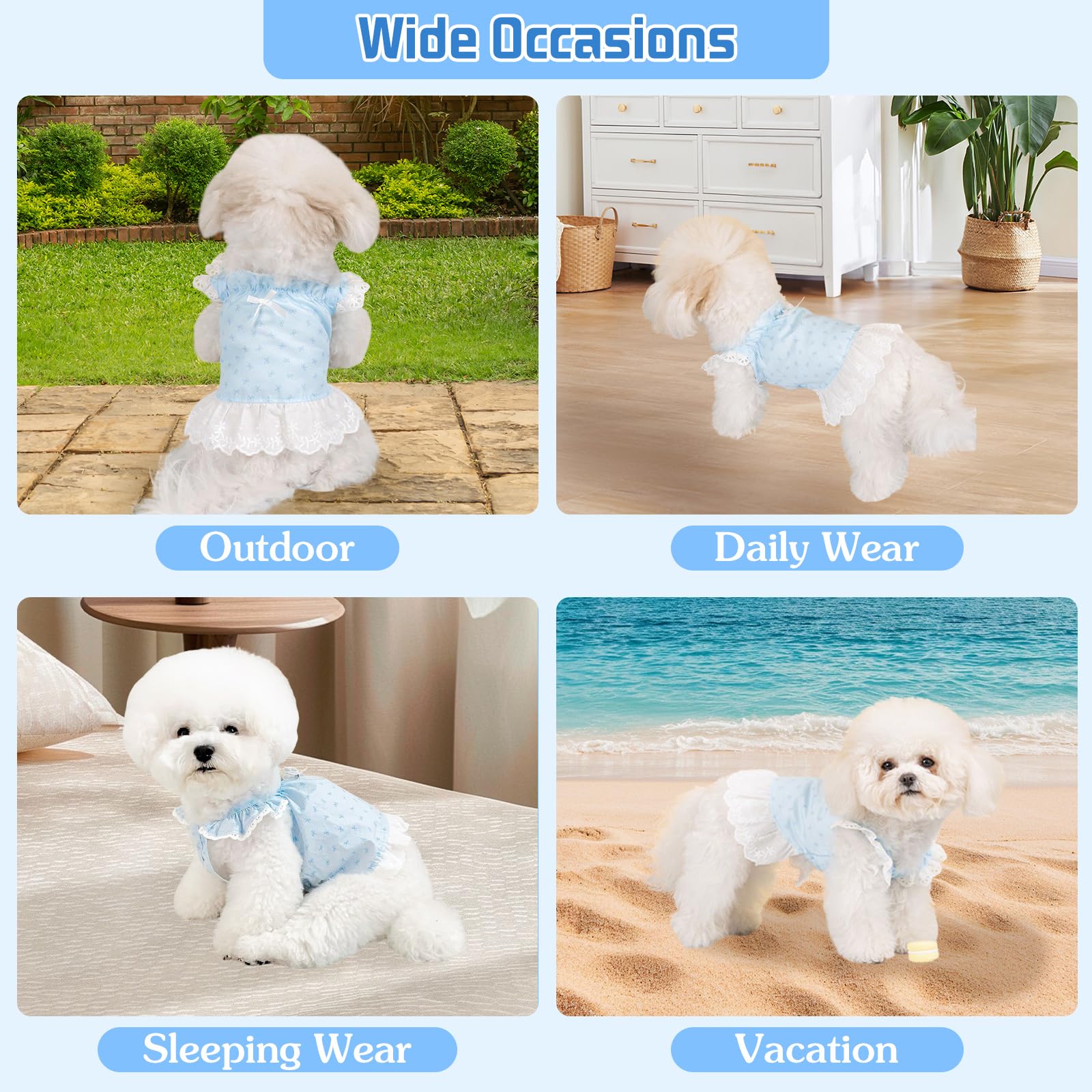 Lot de 2 Robes pour Chien, vêtements d'été à imprimé Floral de Taille XS, Chemises à Volants pour Petits Chiens, Bleu et Rose (Bleu, Taille M (2,5 à 4 kg)