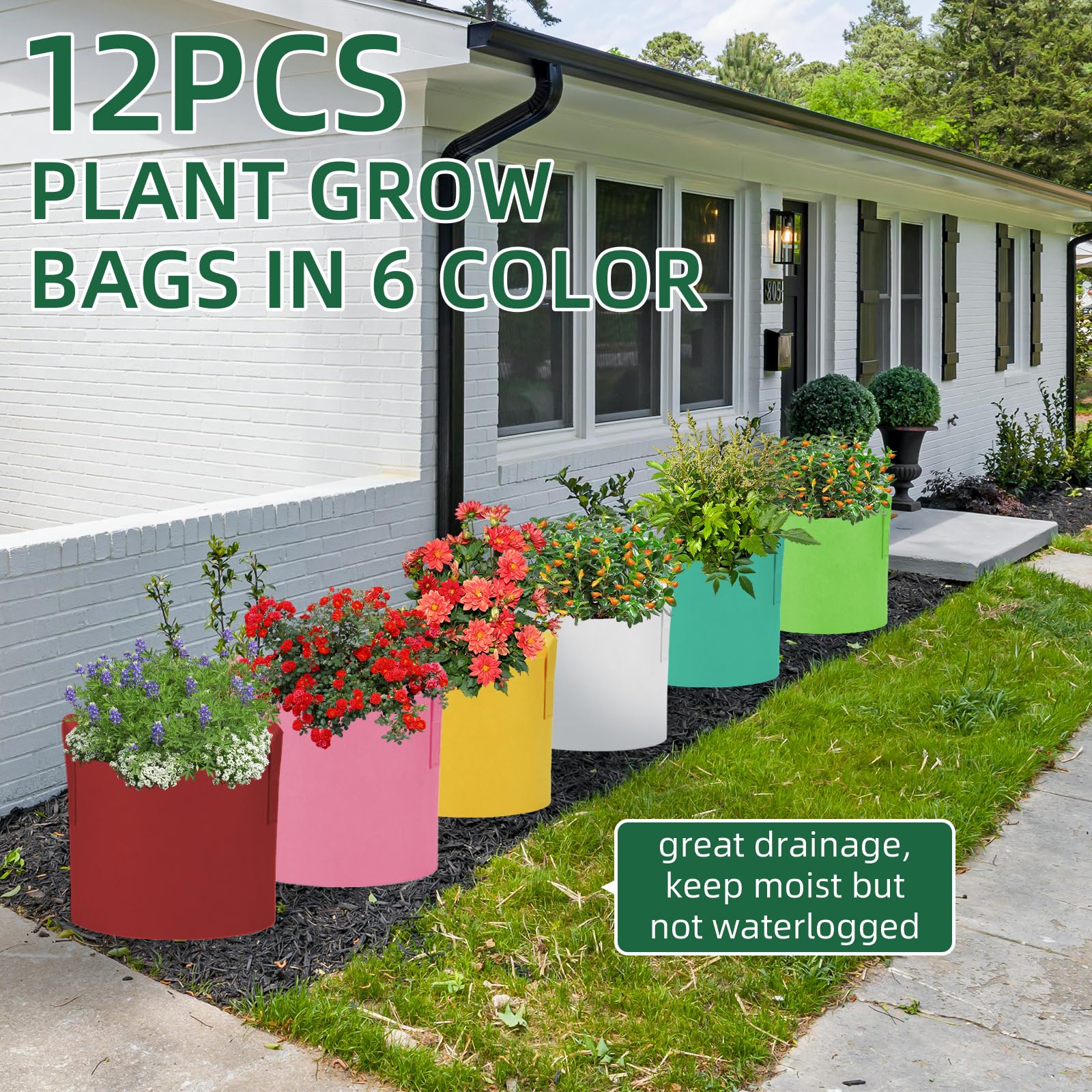 Lot de 12 sacs de culture de pommes de terre, sacs de plantation de pommes de terre, sacs de culture colorés avec poignées, pots de fleurs de jardin avec fenêtre de récolte pour pommes de