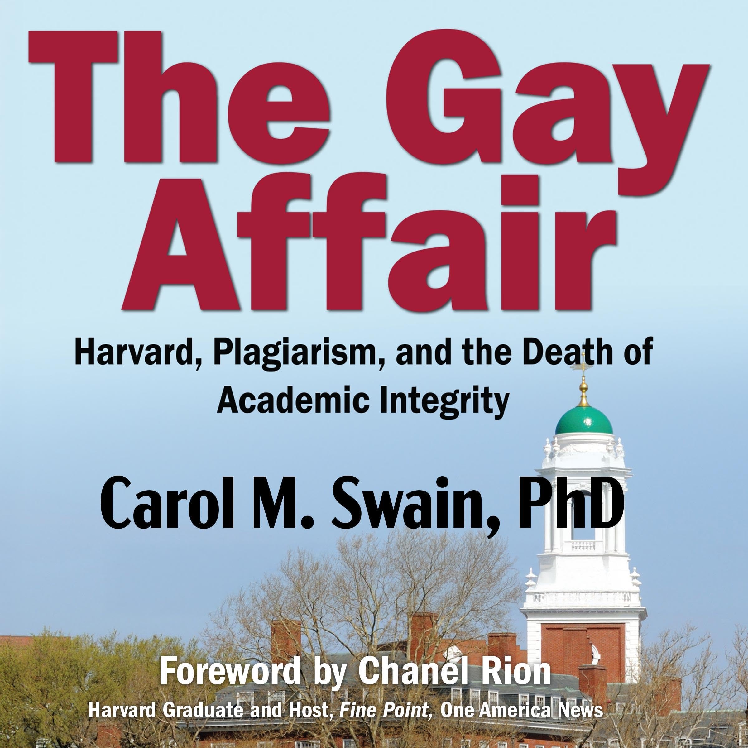 Cover art for The Gay Affair