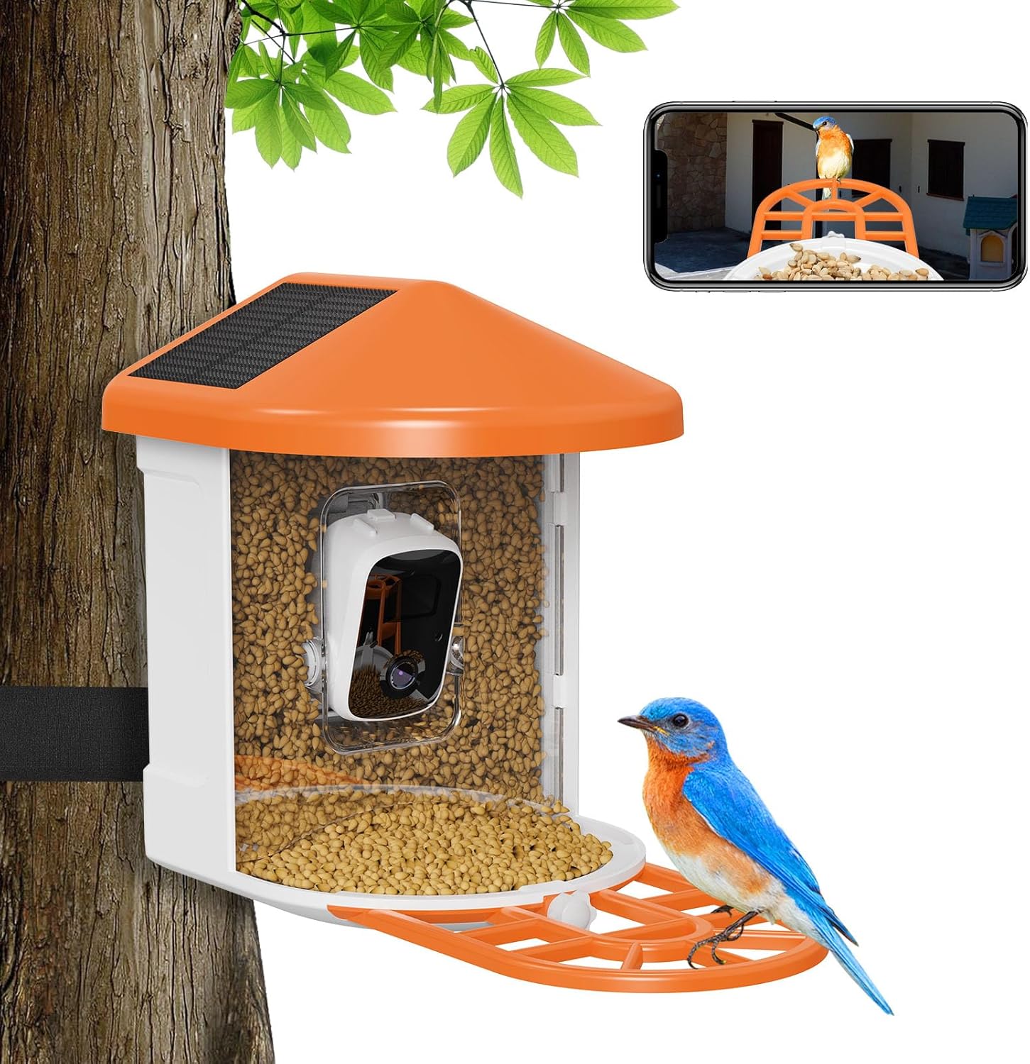 Oneware Wild Bird Feeder Camera, Smart Motion Activated