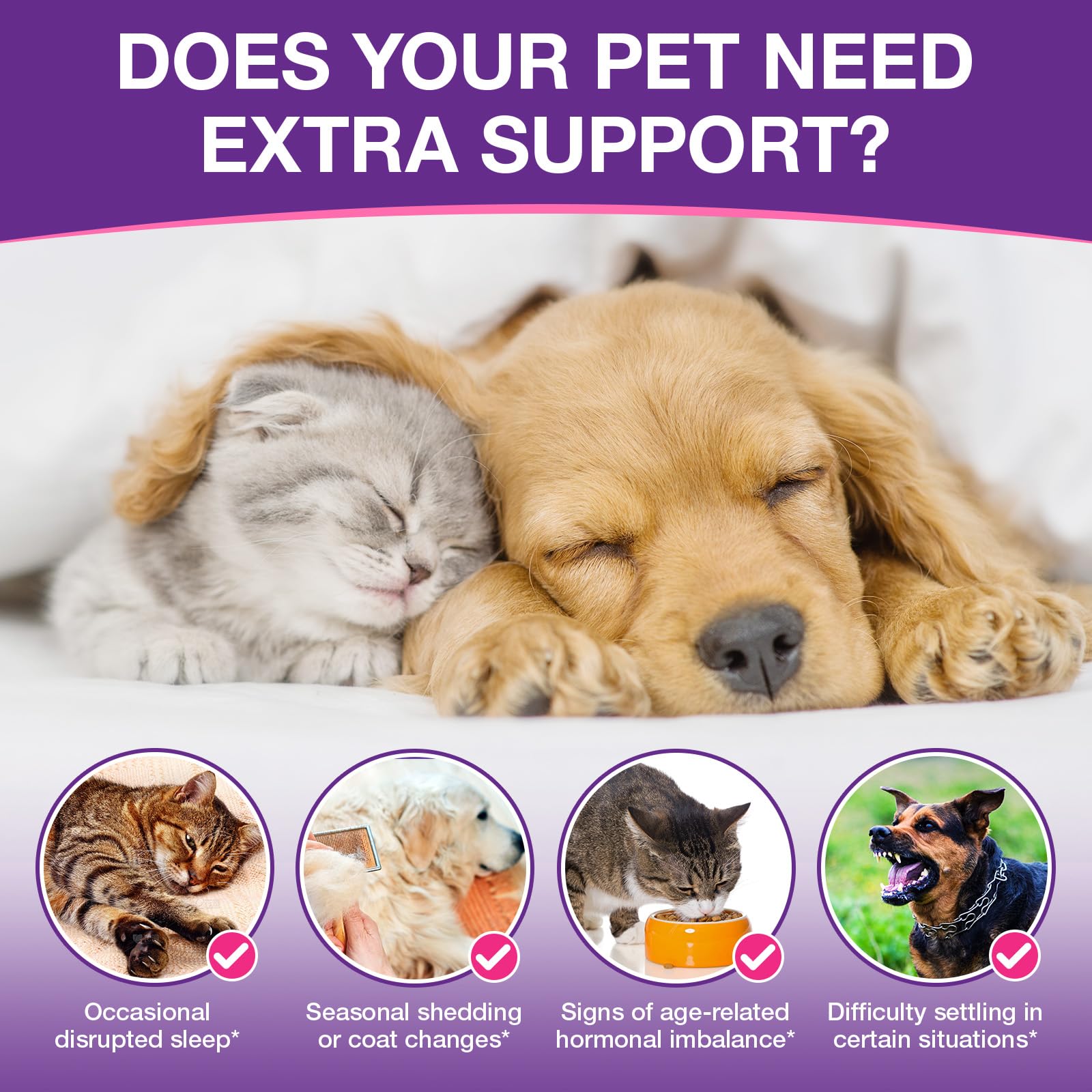 Melatonina para Perros y Gatos 120 ml, Calmante Natural para Mascotas, Ayuda para Dormir y Relajarse, Reduce Estrés, Nerviosismo y Ansiedad,Suplemento Líquido de Absorción Rápida para Bienestar Animal