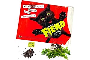 FIEND Premium Catnip Seeds: Cultivate Euphoric Catnip Delights for Your Feline Companion