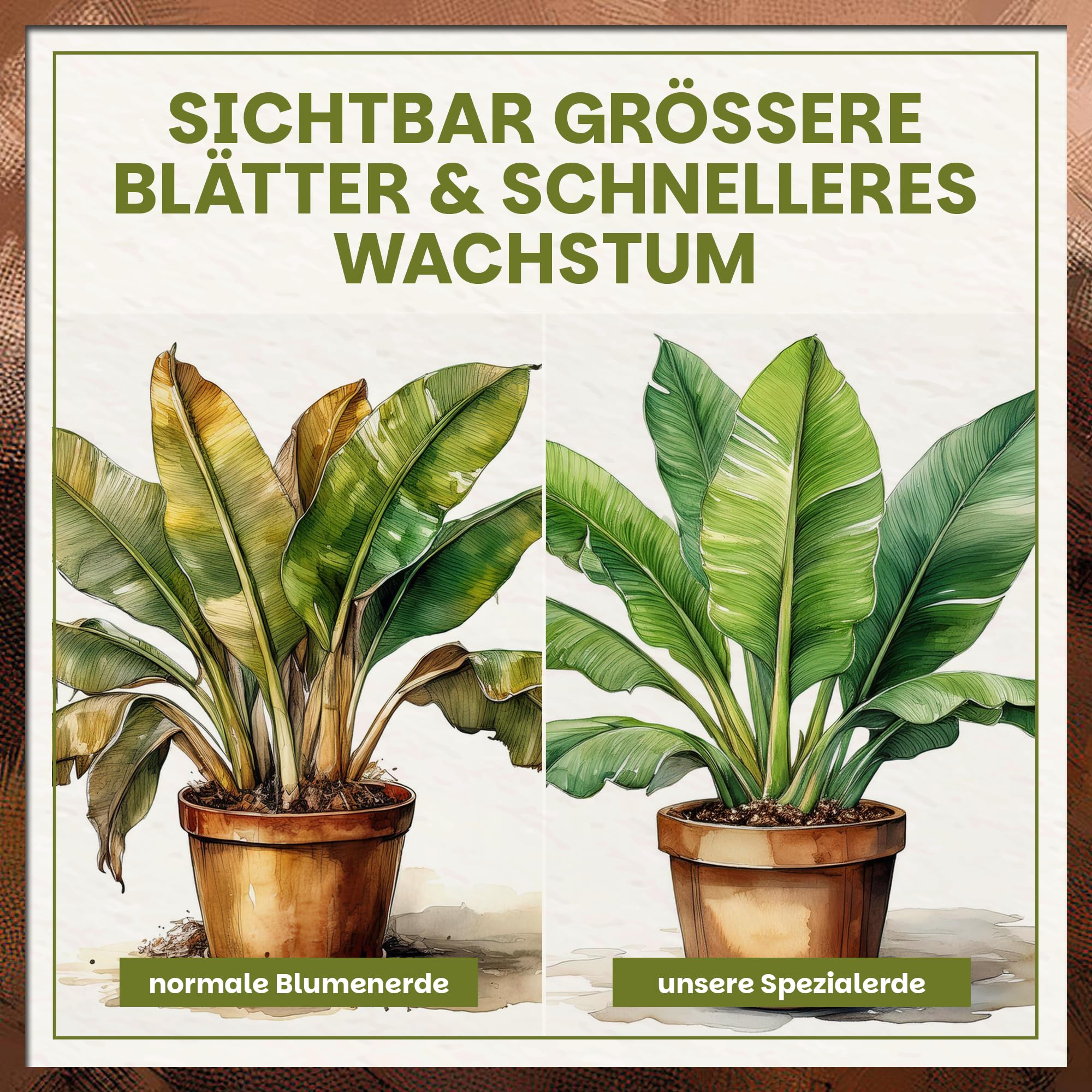 Green Home Bananenerde 72L - Erde für Bananen & Tropenpflanzen |Pflanzerde mit Langzeitdünger | Mit Perlite, Kokosfasern & Rindenhumus | Erde für Hochbeet, Kübel & Garten, pH 5,8