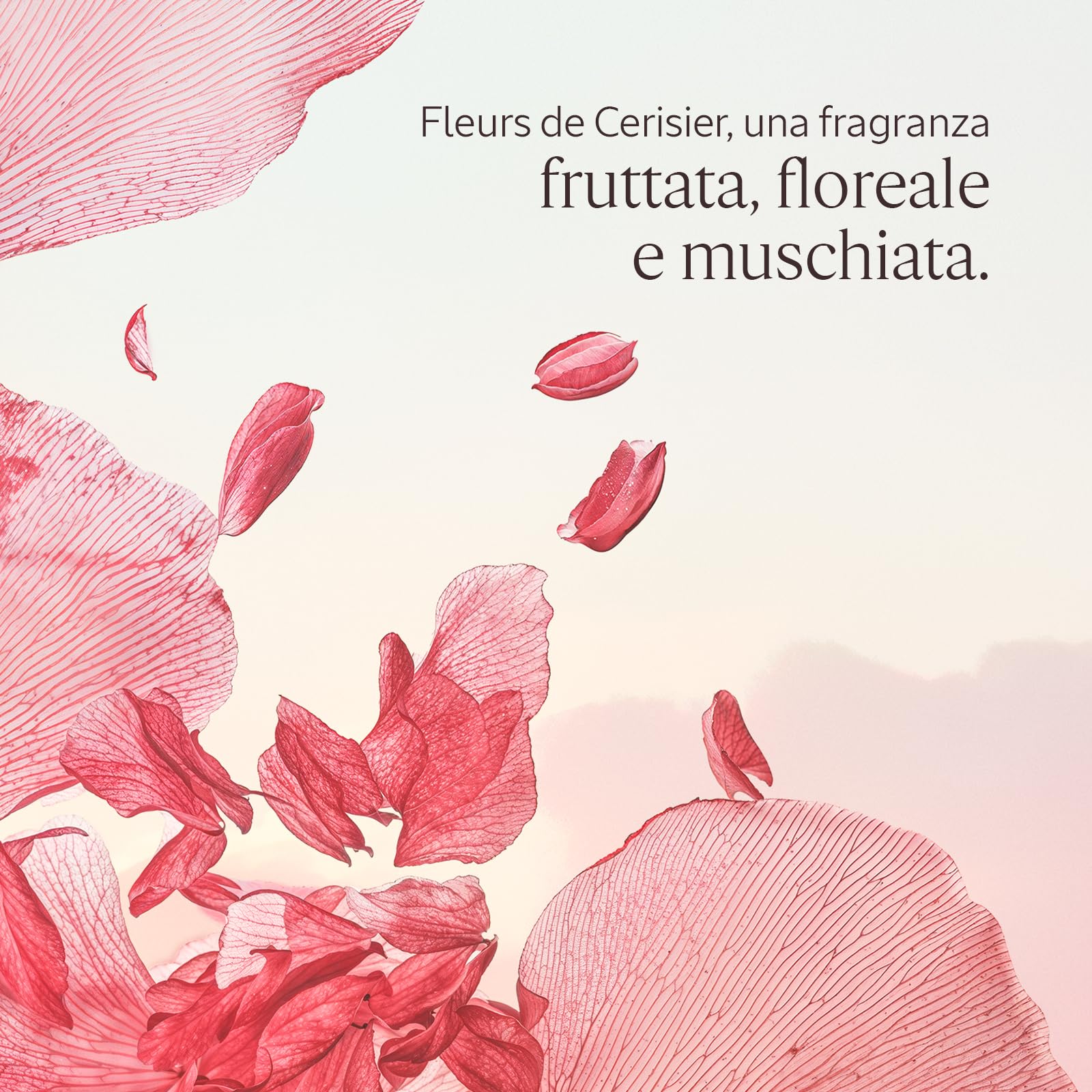 L'OCCITANE - Cofanetto Routine Fleurs de Cerisier (Fiori di Ciliegio) - Gel Doccia, Latte Corpo Profumato e Crema Mani - Note fruttate, floreali e muschiate - Prodotto in Francia
