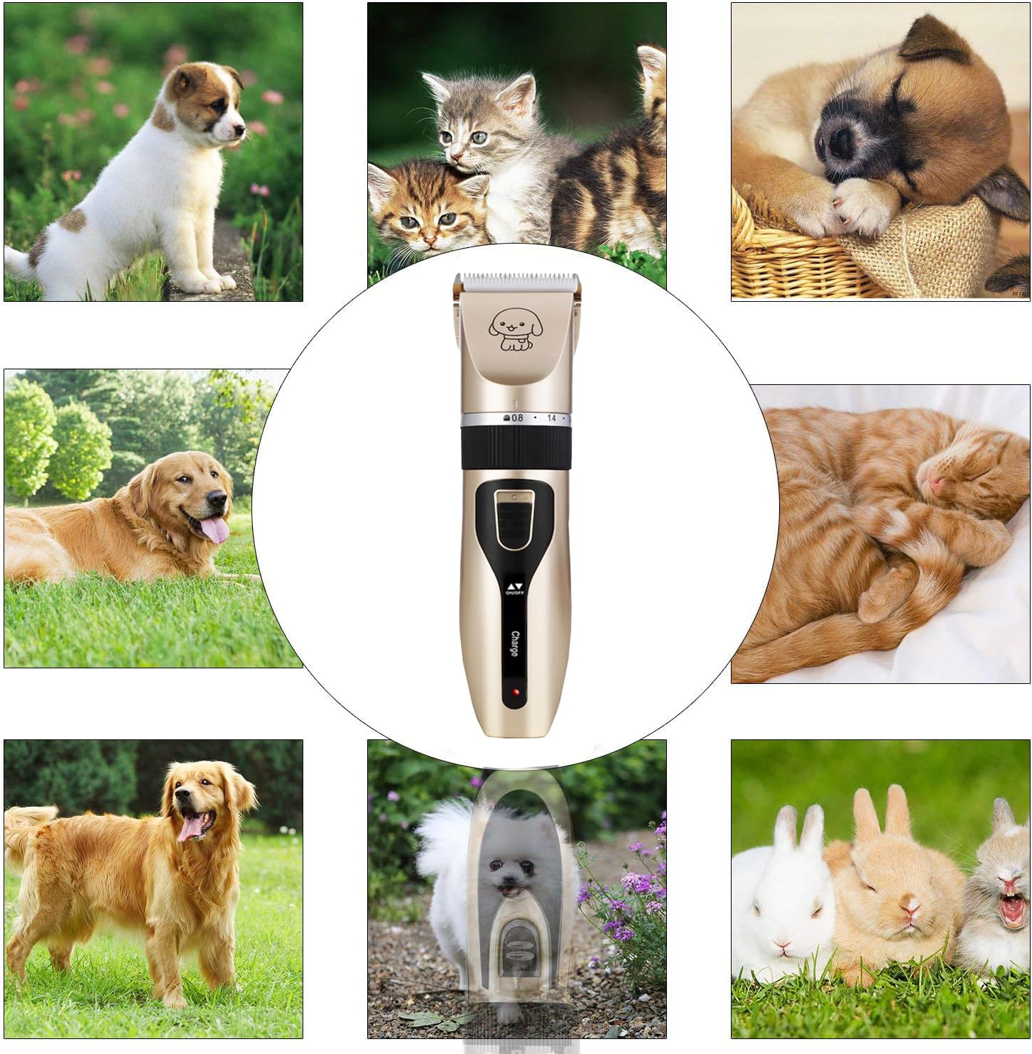 Tosatrice per cani per toelettatura per cappotti pesanti spessi, rasoio senza fili ricaricabile a basso rumore con lama in acciaio inossidabile/rasoio impermeabile per cani animali domestici