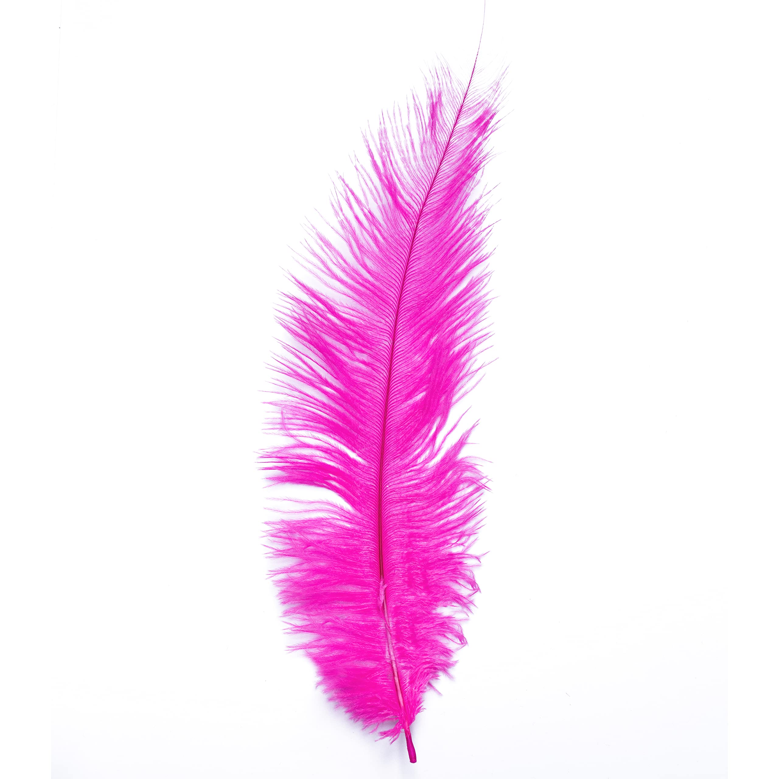Ostrich Feathers - 10" - 12" / 25cm - 30cm - Pick Quantity / 25 Colours (Hot Pink, 2 x Ostrich Feathers)