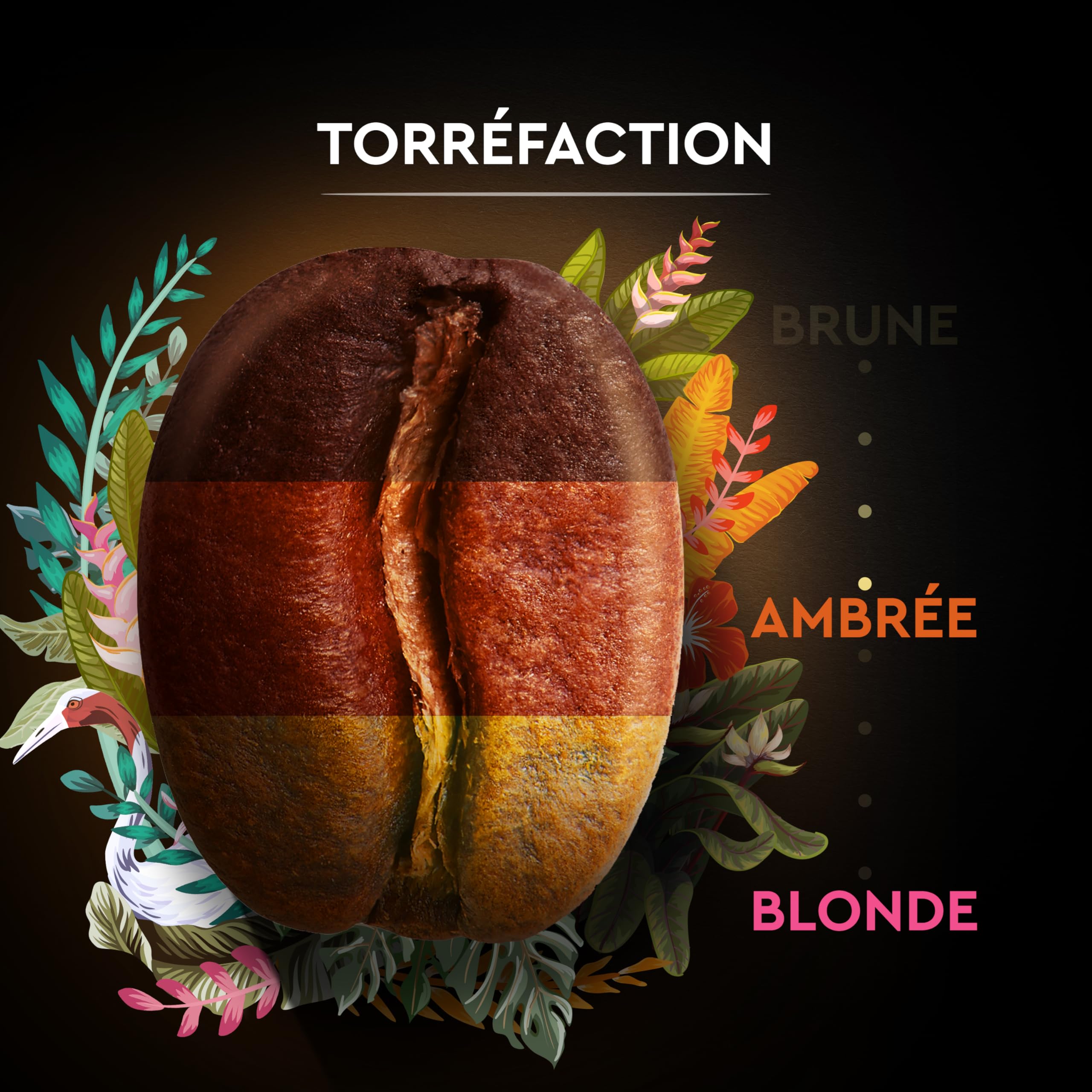 Carte Noire Secrets de Nature Grains 2X1kg MIX