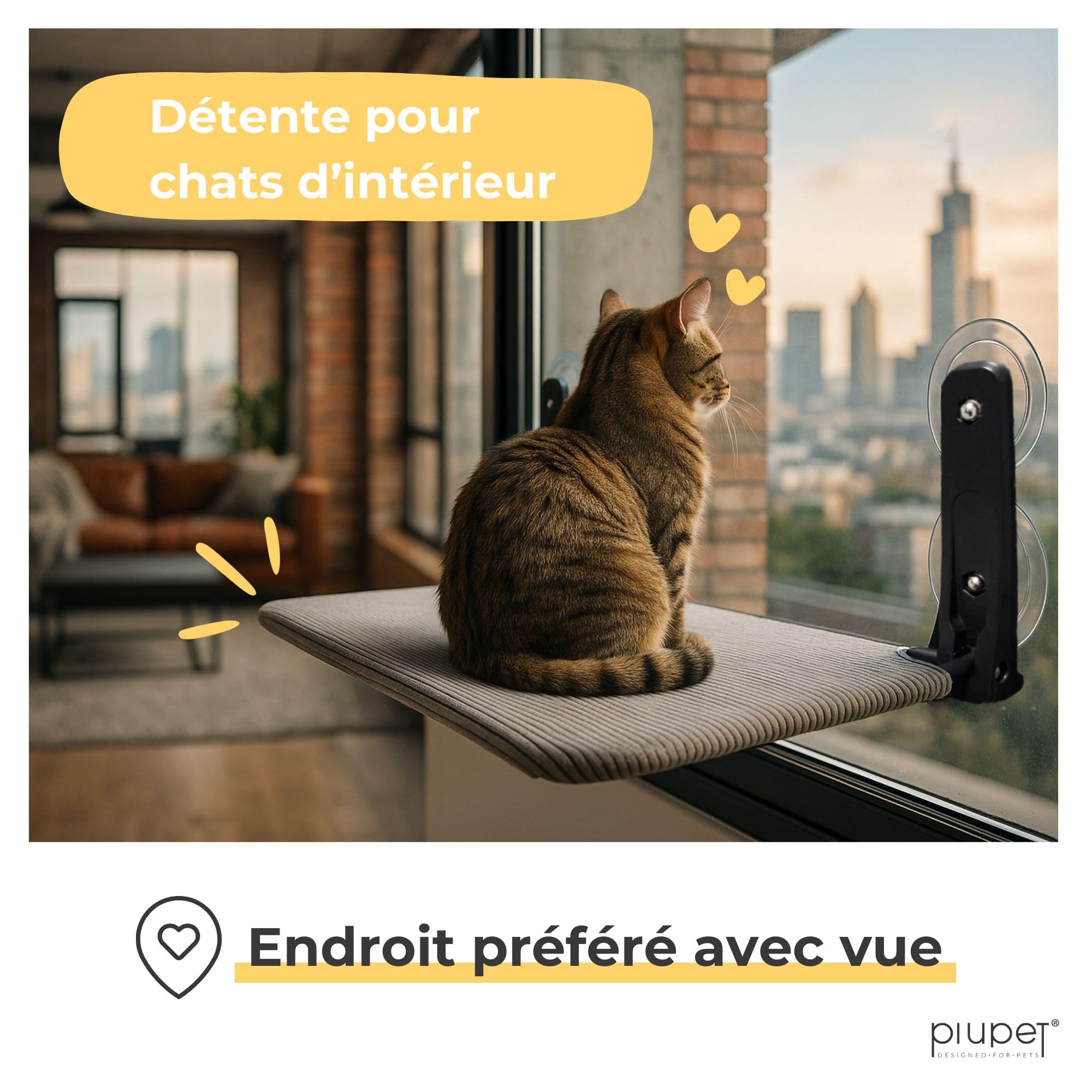 Chaise Longue Flottante pour Chats - Chaise Longue Pliable et Peu encombrante avec ventouses I Hamac réversible pour fenêtres en Gris et Vert I Lit pour Chats jusqu'à 20 kg | Hamac Chat Fenetre (Gris)