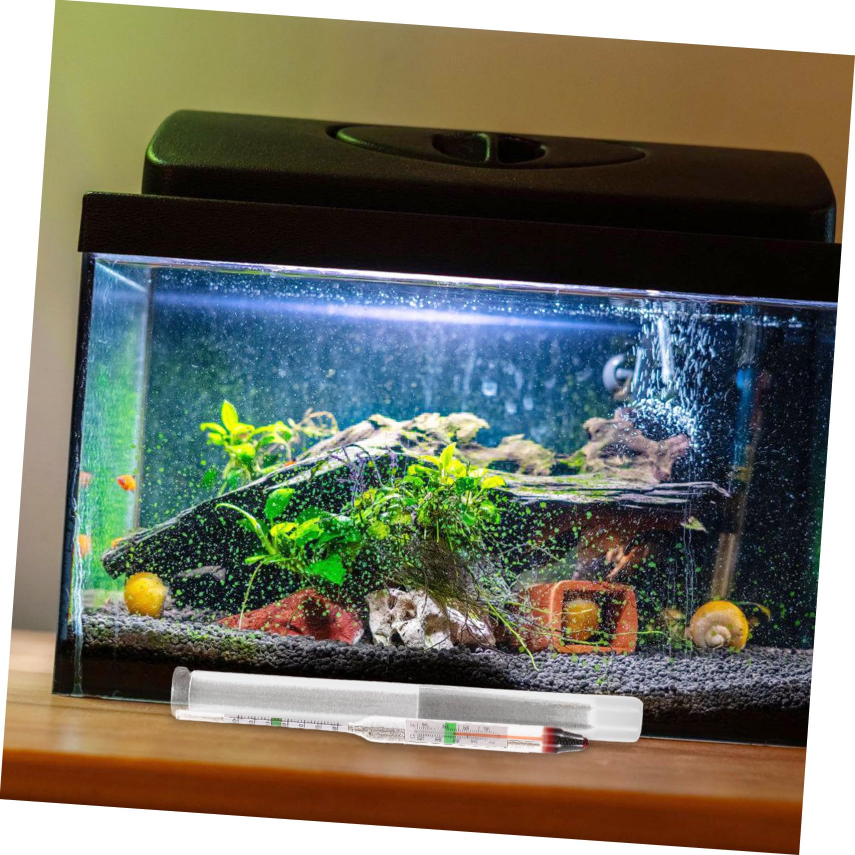 Toyvian 10 Sätze Meerwasserzähler Aquarium Fisch Tank Tester Meersalz Fisch Tank Meerwasser Marine Tank Tester Hydrometer Salz Fisch Tanks Gauge Dichte Glas
