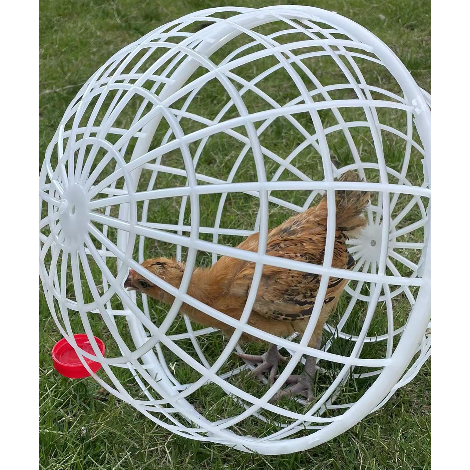 Generisch Kula królika Coop, domek dla kurczaków, plastikowy domek na świeżym powietrzu, zwijany krąg z tworzywa sztucznego - kurnik, walking chicken coop