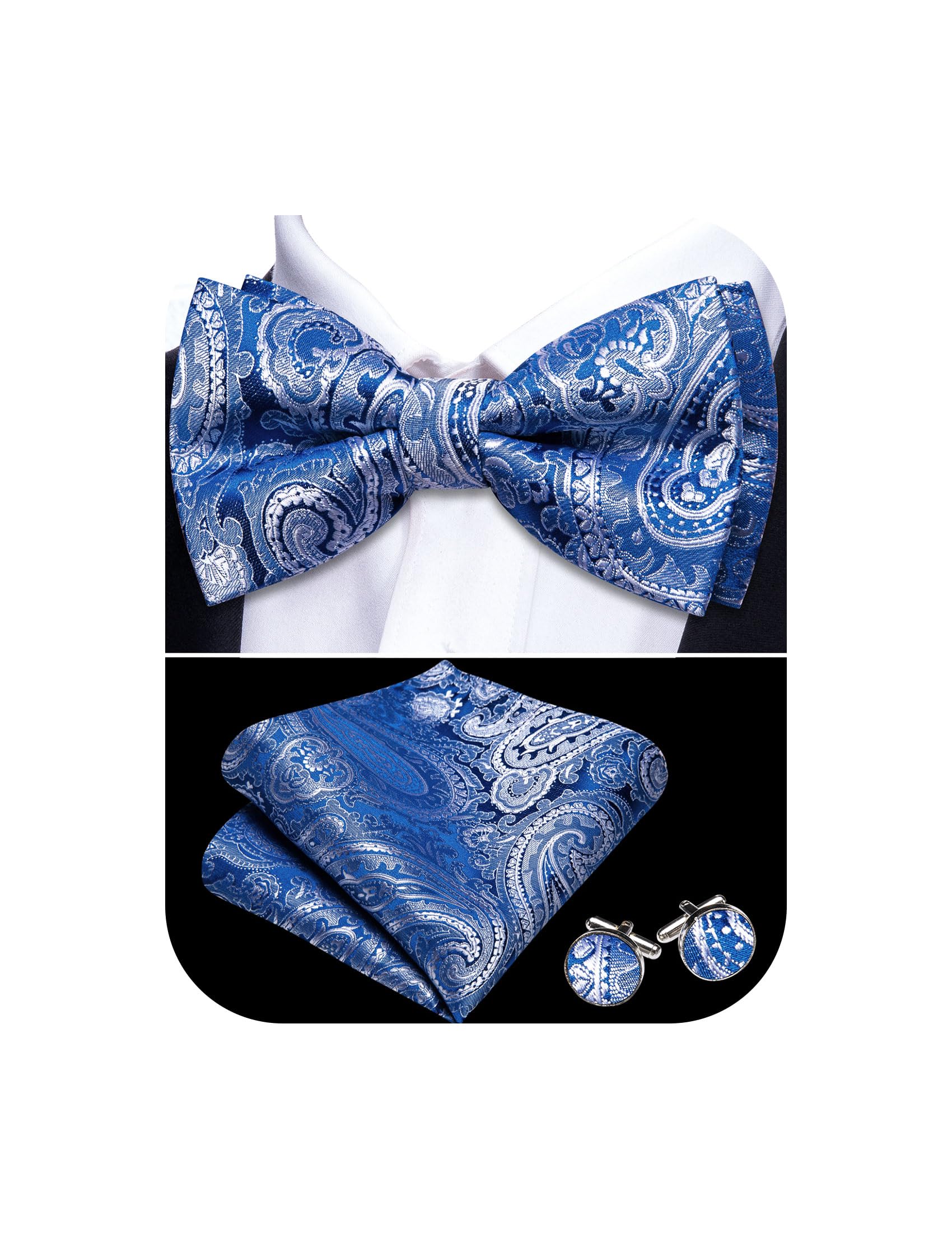 Barry.Wang Paisley Striped Bow Tie for Men Silk Pre-Tied Bowtie Set
