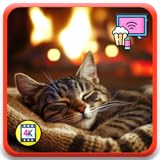 子猫の暖炉の眠り - 眠る猫たちと温かい光、天気と時計付き Fire TV 対応