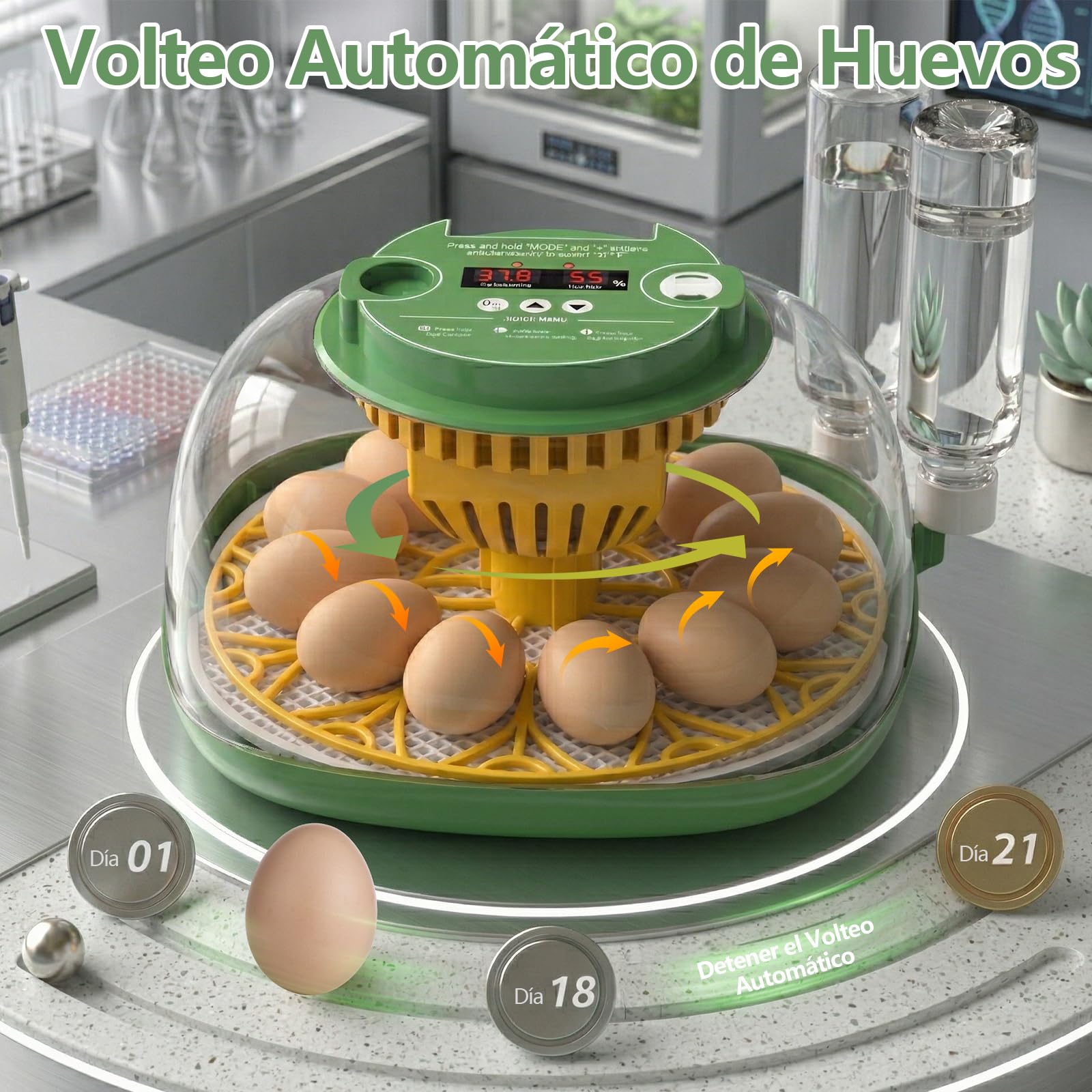 Incubadora Huevos Gallina, Diealles Shine Incubadoras de Huevos Automaticas de 12 Huevos con Volteo Automático de Huevos y Humidificación Automática, Incubadoras con Indicador de Humedad y Temperatura