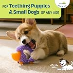 Petstages Cutie Chewies Hedgehog Dog Chew Toy