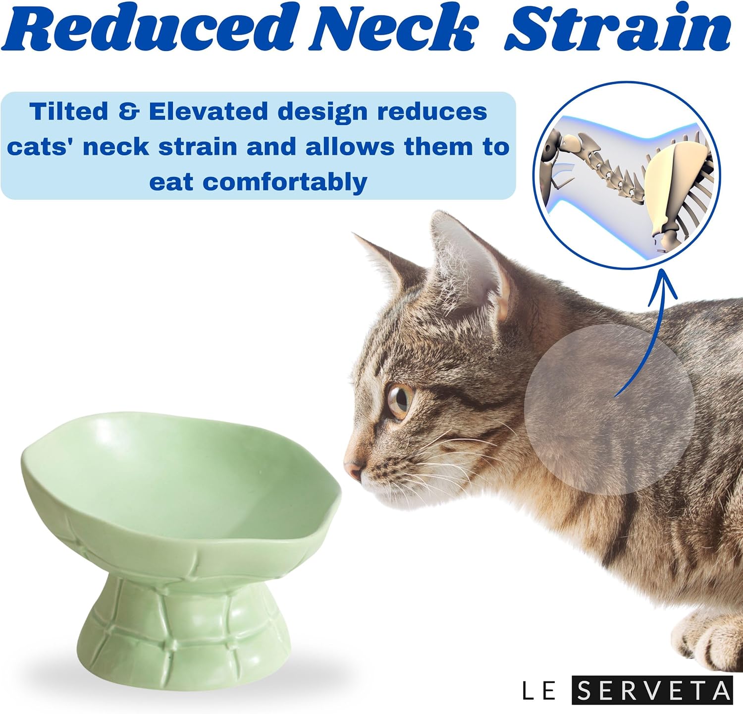 Lotus Series Tilted cat Feeder, Ceramic Raised Cat and Dog Food Dishes, Modern Minimalist Lotus Root Design (Green)