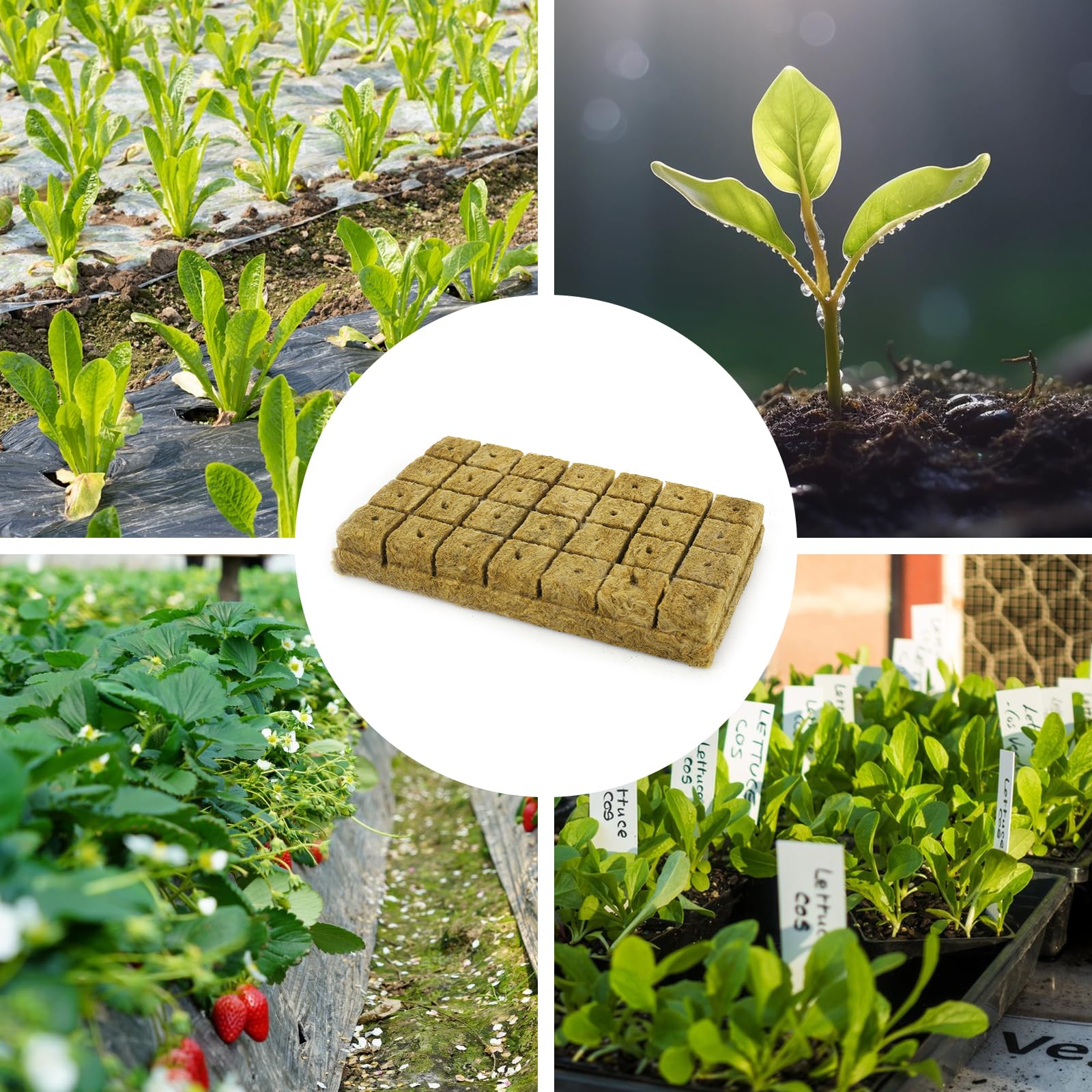 28 Stück Steinwolle Würfel, Steinwolle Set, Steinwolle Grow Anzucht Anzuchtmatte, Bodenlos Hydrokultur Anzuchtmatte, Rockwool Cube, Steinwollwürfel für Stecklinge, Klonen, Anzucht 4 * 4 * 4cm
