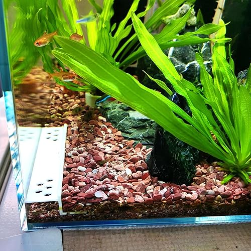 Miniatura 2 de Túnel de fiesta de camarones, refugio impreso en 3D, área de cría y cuevas escondidas para camarones, cueva con 10 entradas, decoraciones de acuario