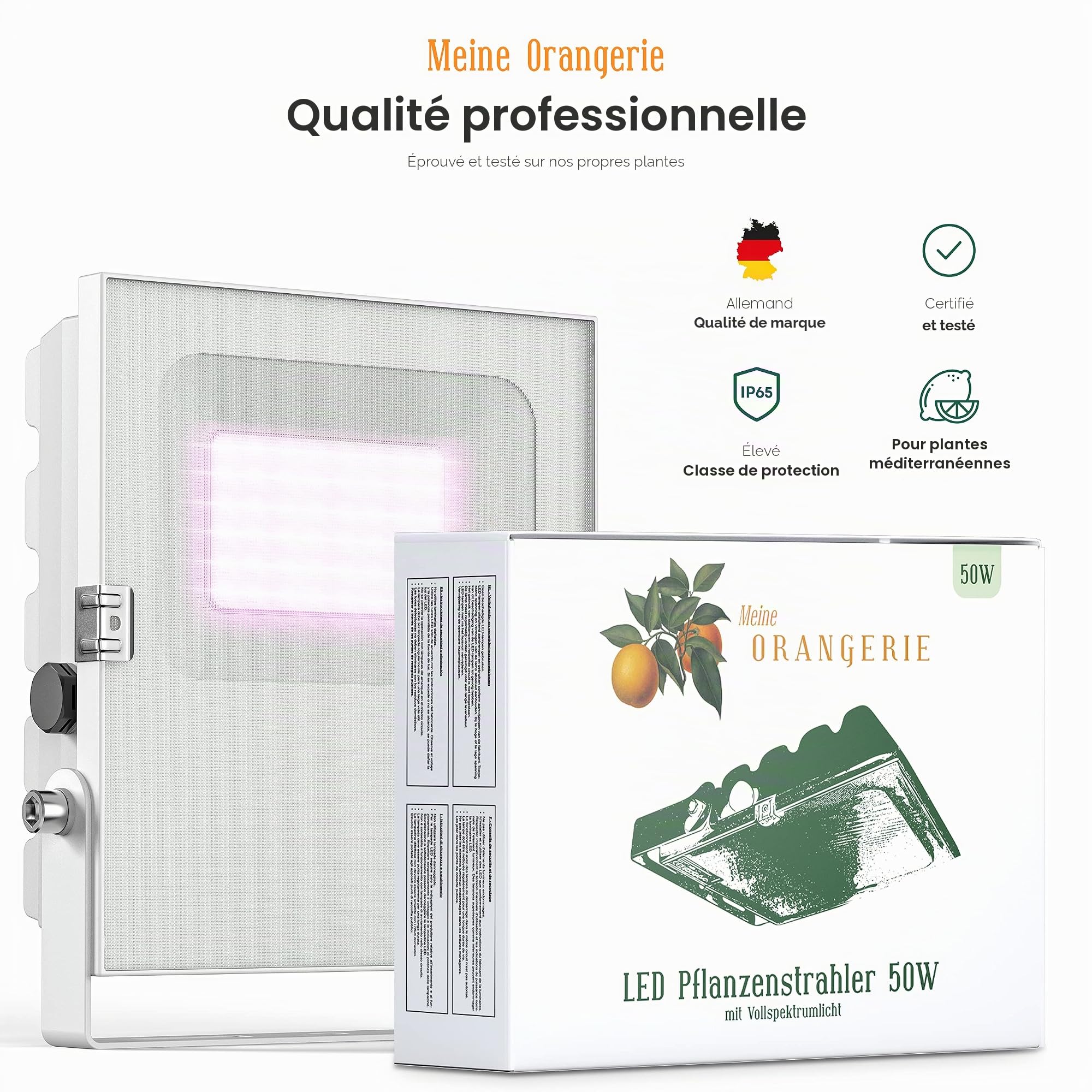 Meine Orangerie - Lampe LED pour l'hivernage des plantes méditerranéennes - Développée avec des experts en agrumes. Lumière à spectre complet pour plantes (50)