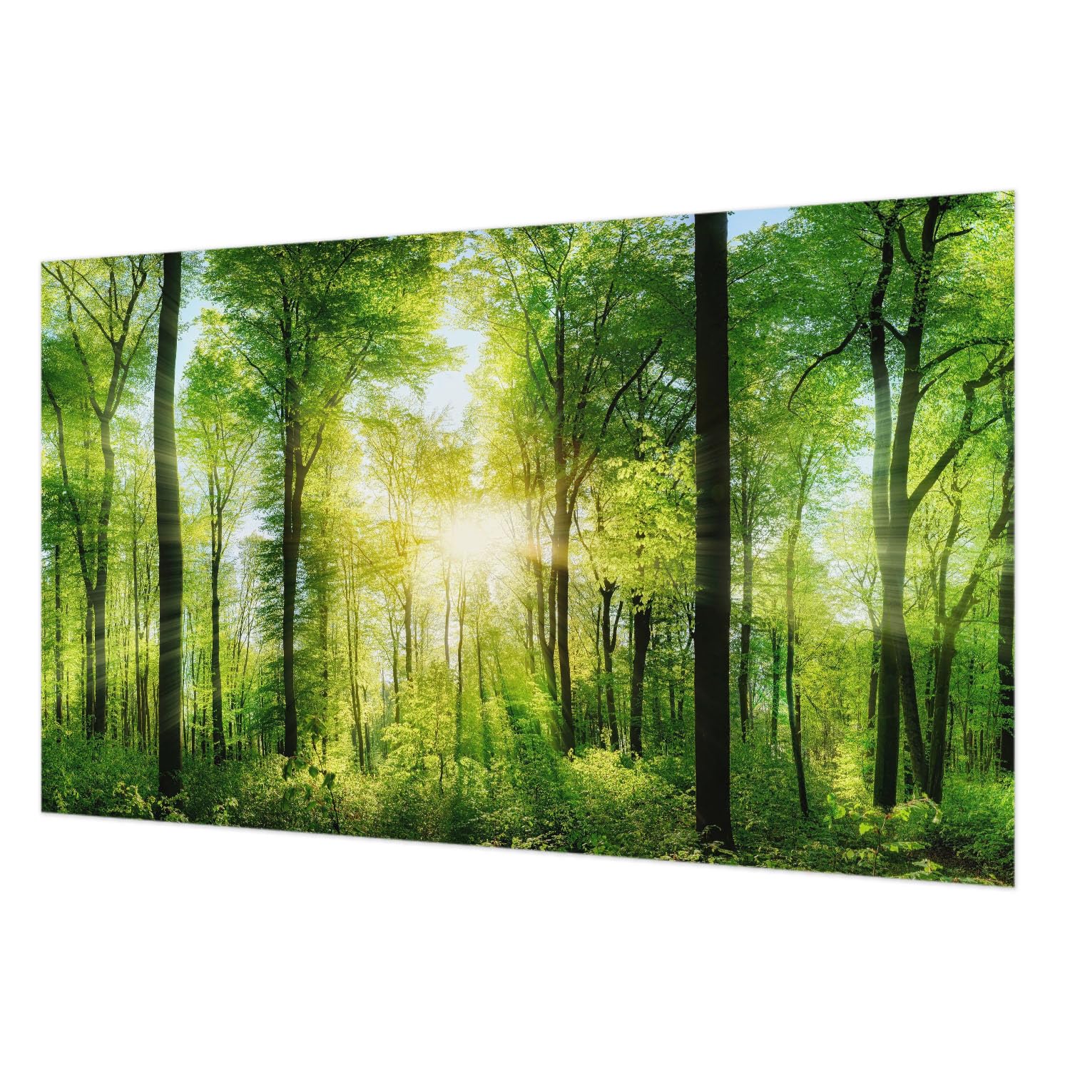 Papier peint impression haute qualite intisse premium 416x254 cm