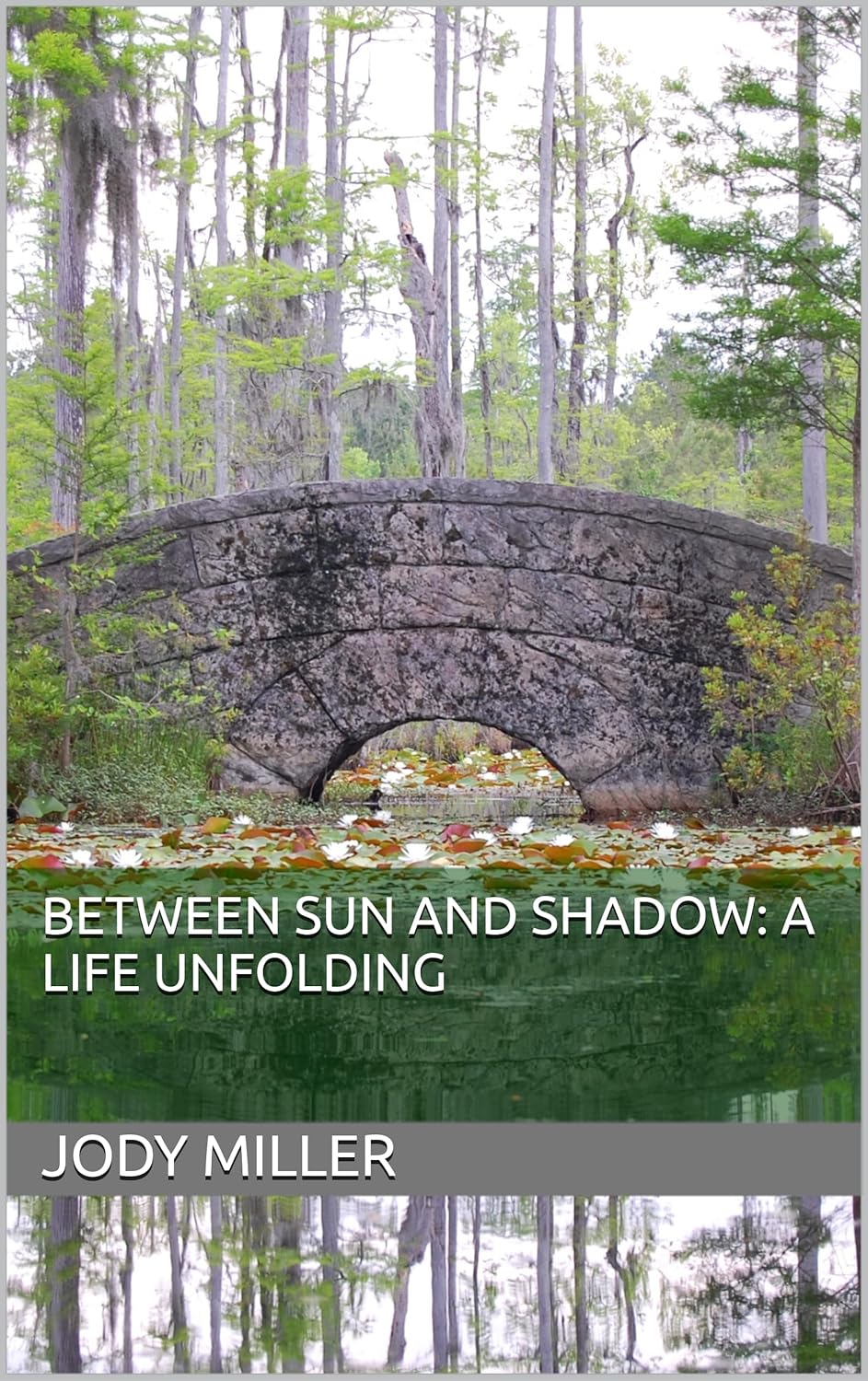 Between Sun And Shadow: A Life Unfolding      Kindle Edition