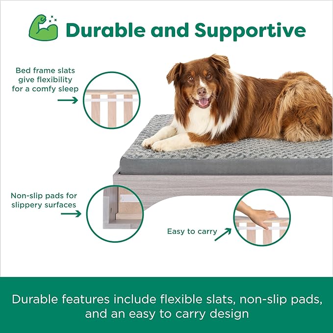 Cama Elevada para Perros Grande, Estilo Moderno con Base Flexible miniatura 4