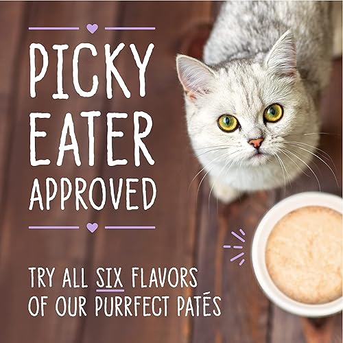 Miniatura 10 de Stella & Chewys Carnivore Cravings Purrfect Pate Cans  Grain Free, Protein Rich Wet Cat Food  Salmon, Tuna & Mackerel Recipe  (2.8 Ounce Cans, Case