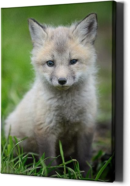 Decoration Murale Sur Toile Motif Bebe Renard Decoration Murale Pour Chambre D Enfant Tableau Orange Avec Petit Animal De La Foret Decoration De Tete De Chambre A Coucher Amazon Fr Decoration Murale Sur Toile Motif Bebe Renard Decoration Murale Pour Chambre D Enfant Tableau Orange Avec Petit Animal De La Foret Decoration De Tete De Chambre A Coucher Amazon Fr