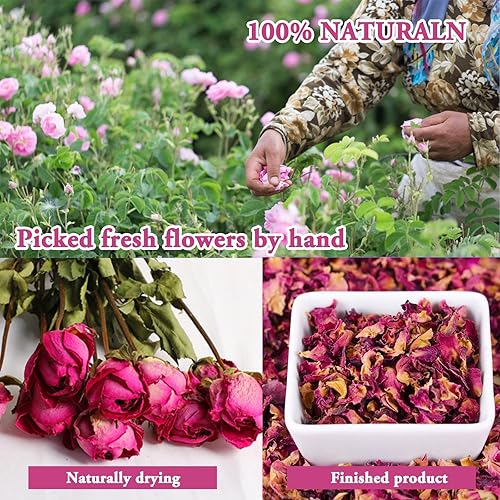 Miniatura 3 de SACATR Flores secas, kit de 50 bolsas de hierbas secas 100% naturales para hacer jabón, velas, fabricación de joyas de resina, baño, uñas, incluye