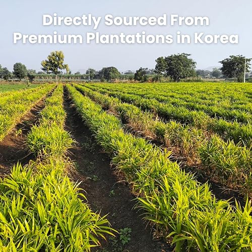 Miniatura 2 de Unha Té coreano de miel y jengibre de 35.2 onzas – Jengibre rebanado premium con miel real, té dulce picante caliente o frío, mermeladas y