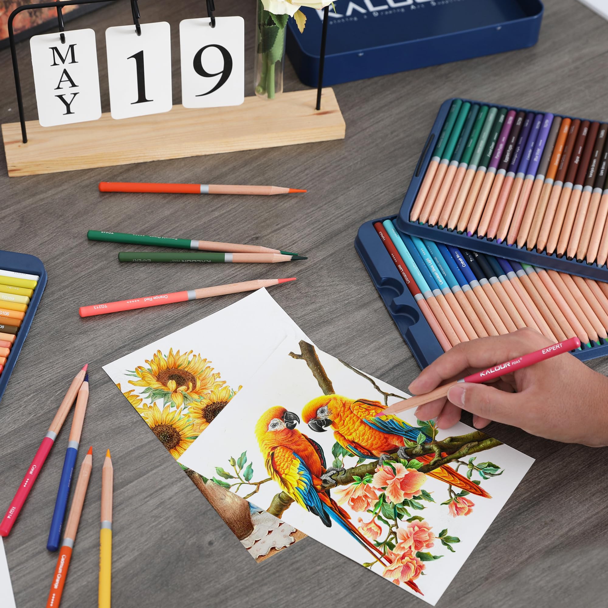 KALOUR Lot de 72 crayons de couleur professionnels pour coloriage, à base d'huile, noyau souple, idéal pour les artistes et les débutants