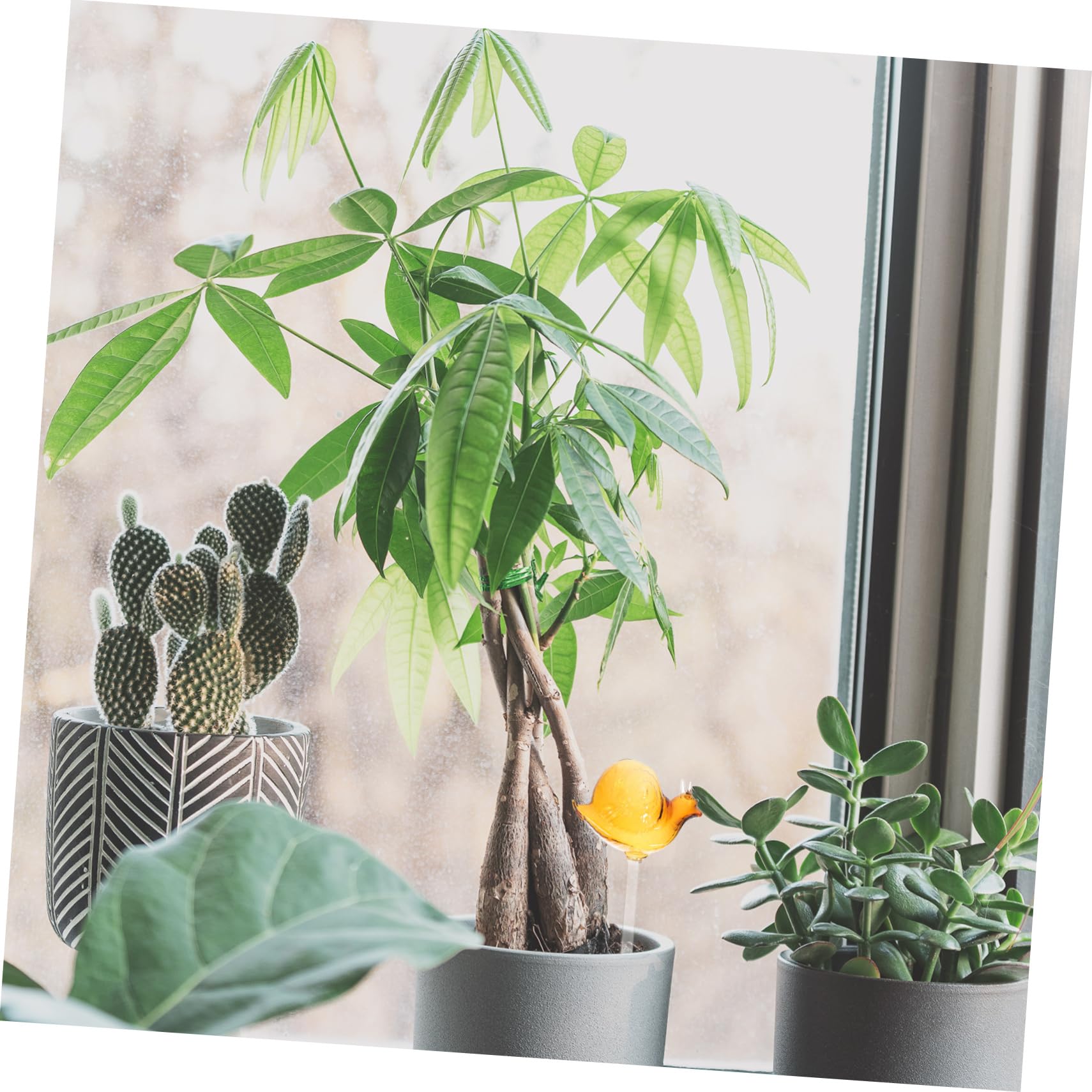 Toyvian 3 Pièces Dispositif D'arrosage Automatique Spike D'auto-arrosage Croissance Plantes Usine De Plein Air Fonctionnalité Jardinières à Arrosage Automatique Petit Un Verre