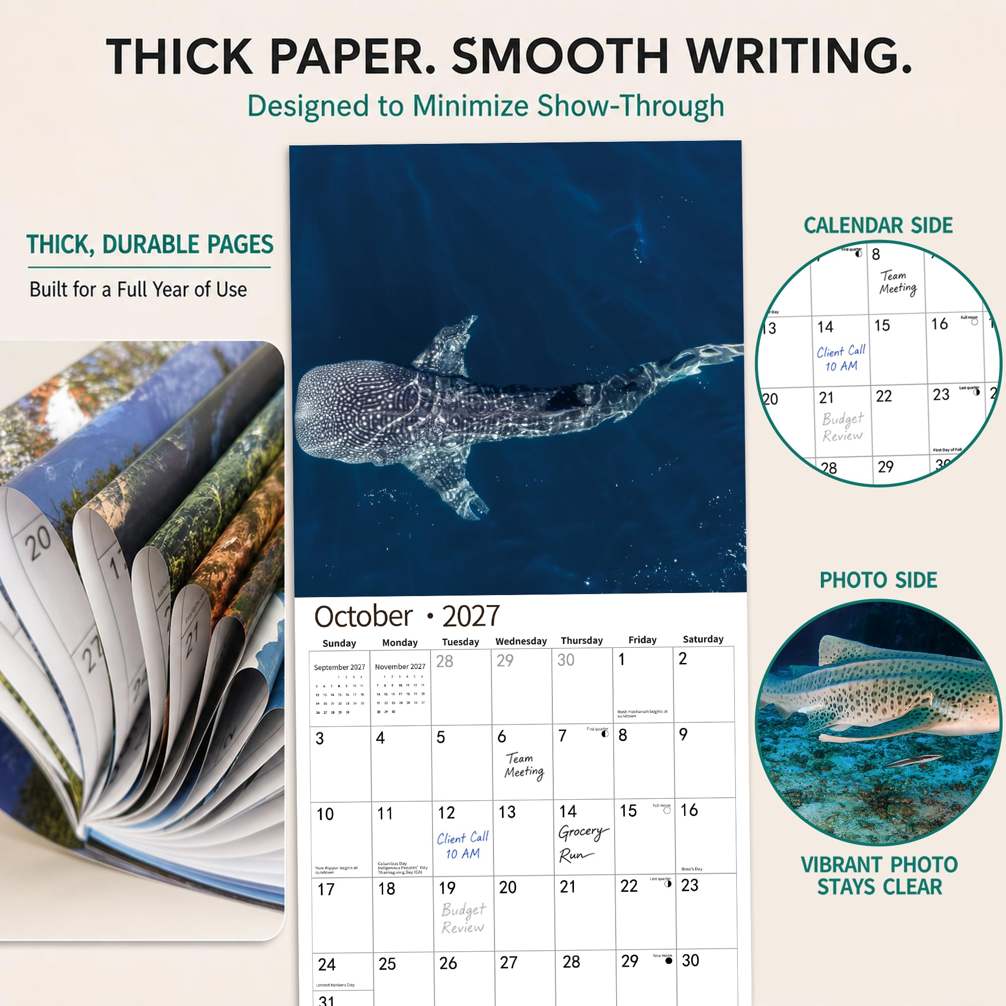 2026 Wandkalender, Kalender 2026, November 2025 – Dezember 2026, Wandkalender Hai, 30,5 x 61 cm geöffnet, ganzseitige Monate, dickes und stabiles Papier als Geschenk, perfekte Kalenderorganisation und