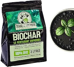 Terre d'Auguste – Biochar 3L, le Fertilisant Plante Intérieur Idéal pour Votre Jardin Urbain