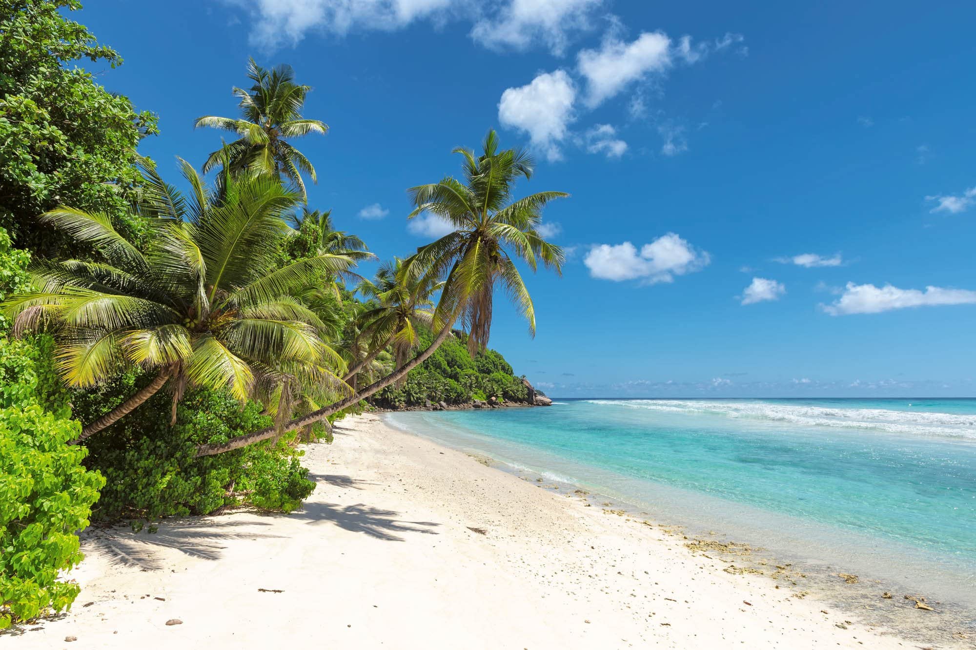 WTD - Papel pintado fotográfico (375 x 250 cm, incluye pegamento), diseño de isla tropical