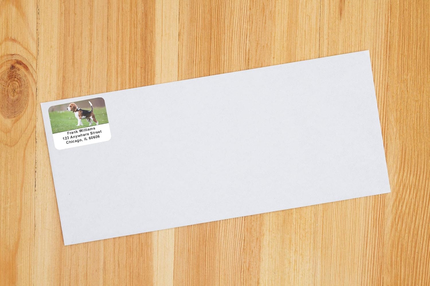 Beagle Puppy Address Labels