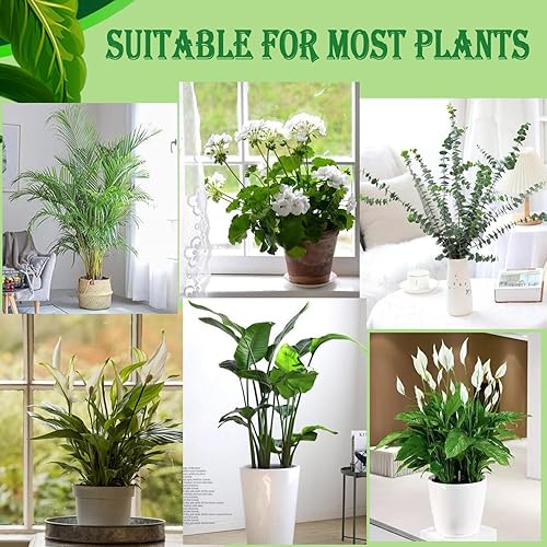 Miniatura 7 de Karida Juego de 5 estacas desmontables de soporte para plantas de 39.37 pulgadas, ramitas enrejadas para plantas de interior y exterior, plantas en