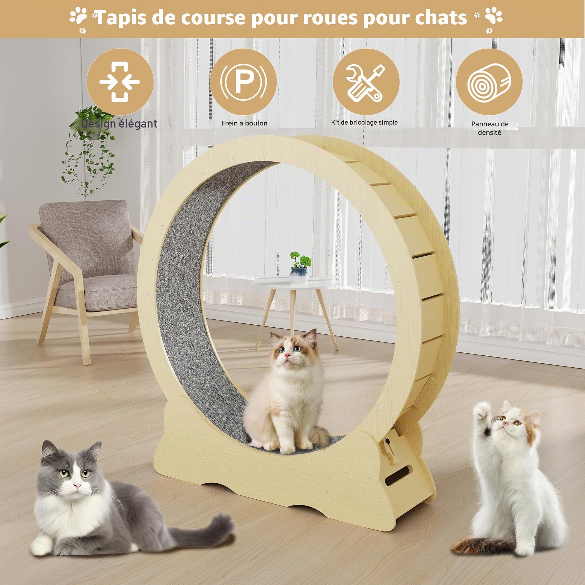 Roue d'exercice pour chat - Diamètre intérieur 120 cm - Jouet super silencieux - Pour chats de toutes tailles - Couleur bois - Taille XXL