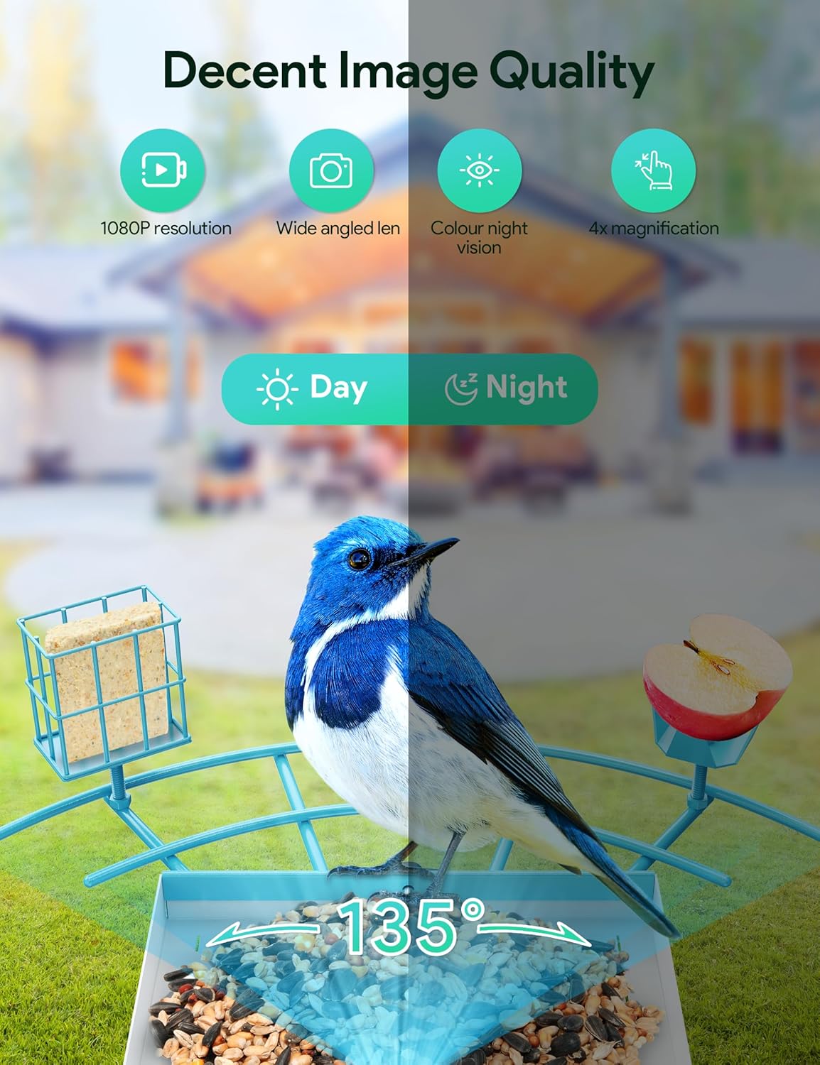 Split image showing the bird feeder camera's 1080p resolution, wide-angled lens, and color night vision capabilities.