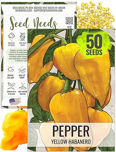 Seed Needs Semillas de pimiento habanero para plantar habaneros de limón caliente, reliquia sin OMG y chiles chinense sin tratar para plantar un