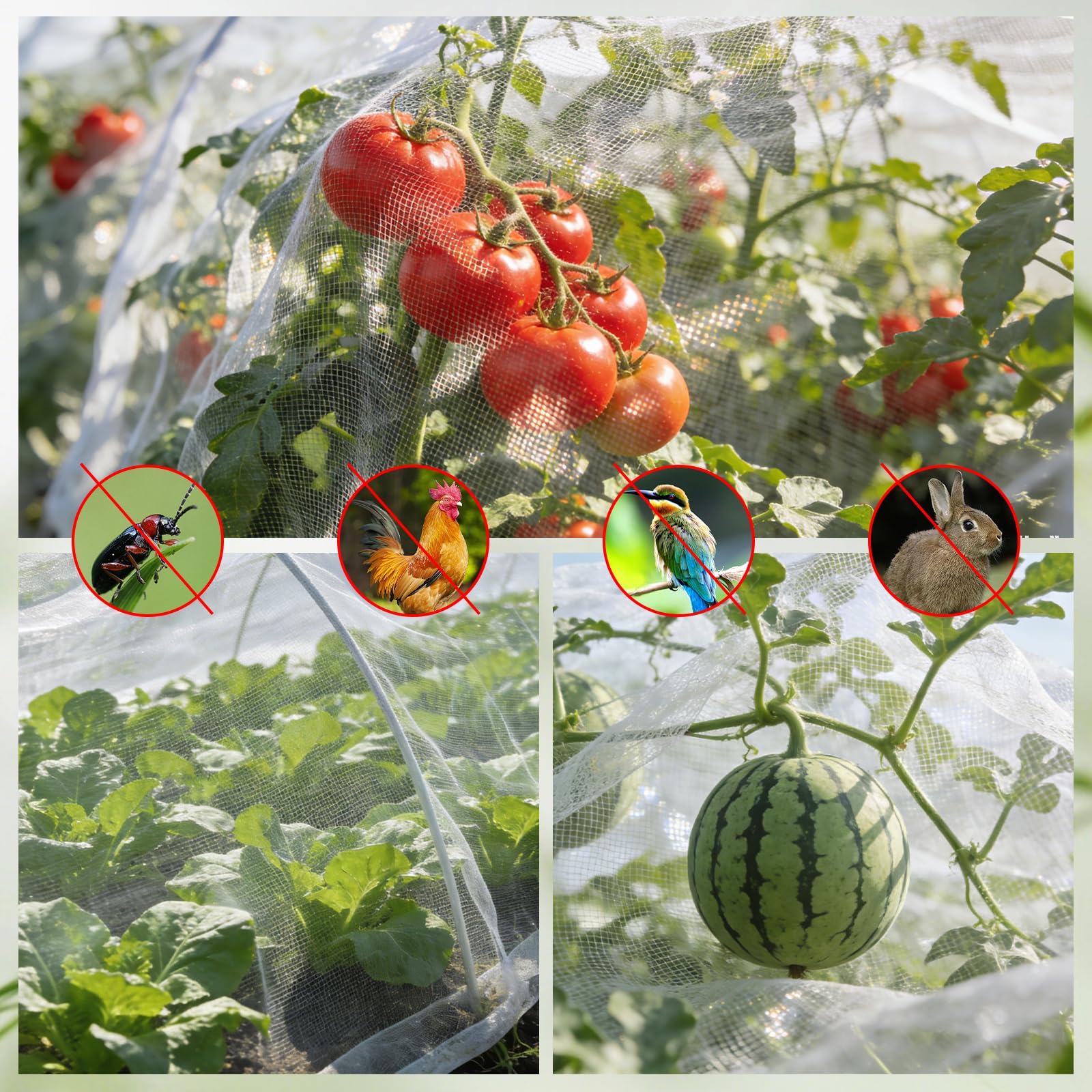 Filet Anti-Insectes 1.2 x 3m Maille Fine Protection Plantes Potager