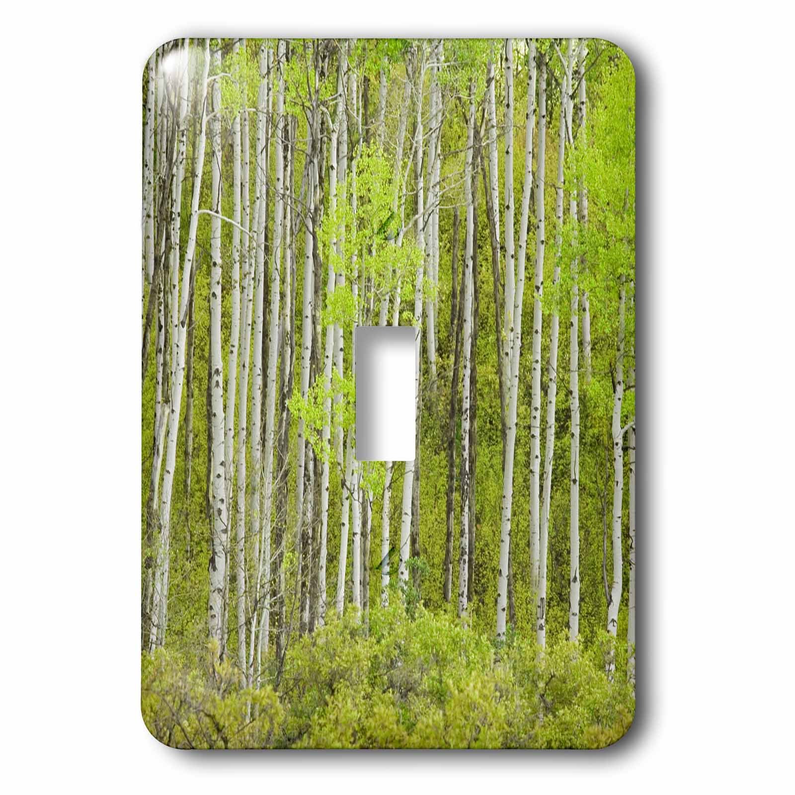 Interrupteur à bascule blanc motif forêt USA pour salon et chambre moderne