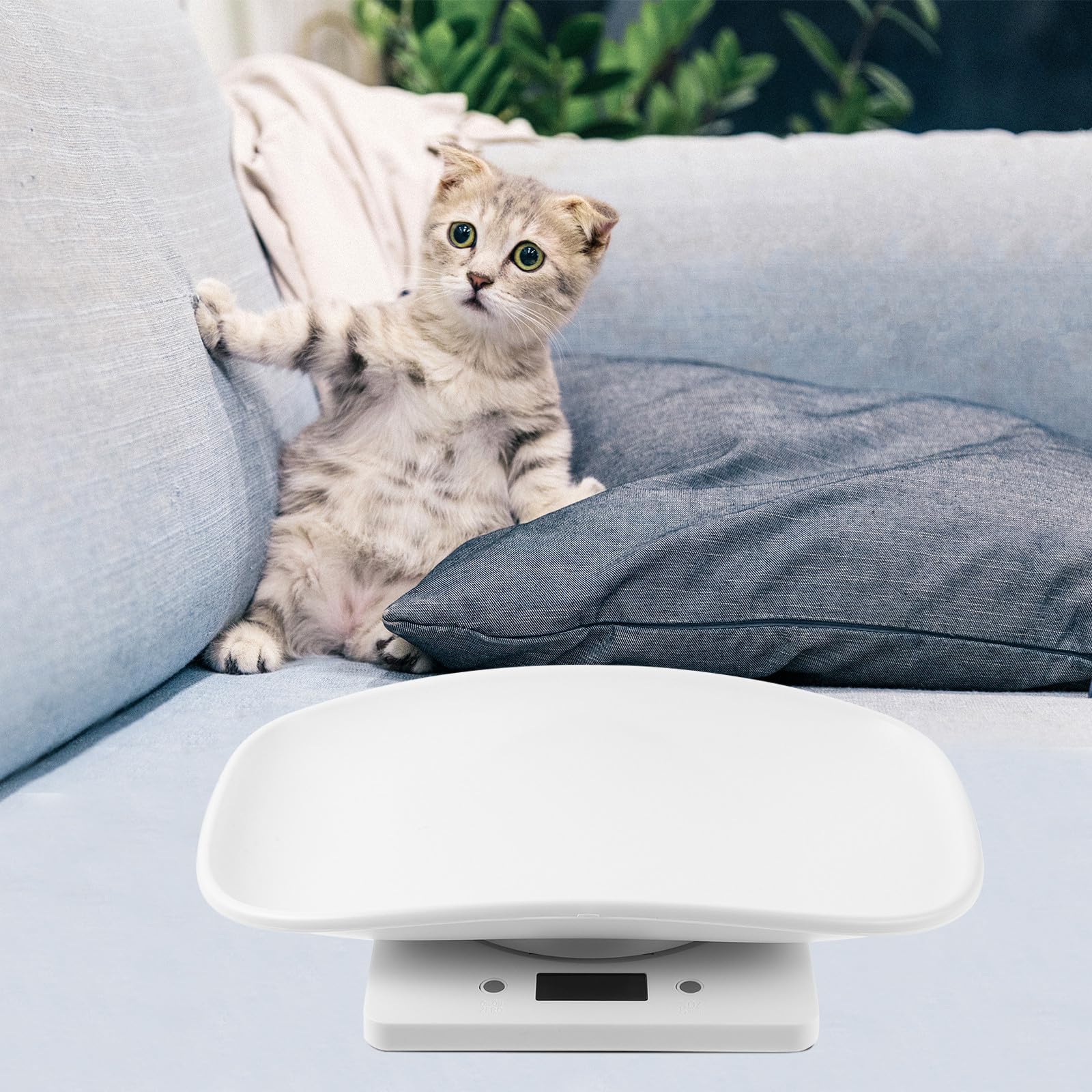 Ciieeo Bilancia Digitale per Cuccioli e Piccoli Animali Domestici, Bilancia Elettronica Portatile Vassoio in Plastica, Display LED Facile da Leggere, Multifunzionale per Peso Animali