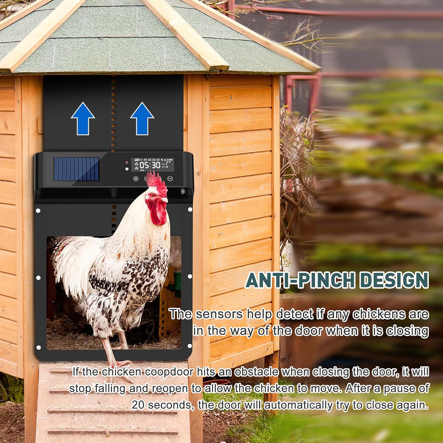 Close-up of the Cozion Automatic Chicken Coop Door demonstrating the anti-pinch design, with a chicken safely passing through as the door reopens.