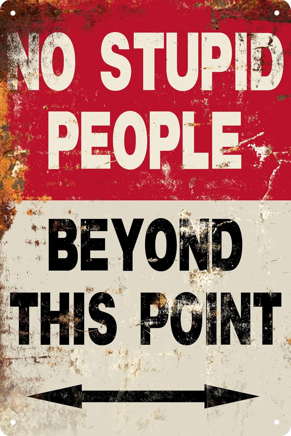 Funny 'No Stupid People Beyond This Point' Metal Tin Sign - 8x12 Inch Vintage Retro Wall Decor for Bars, Pubs, Homes & Gifts